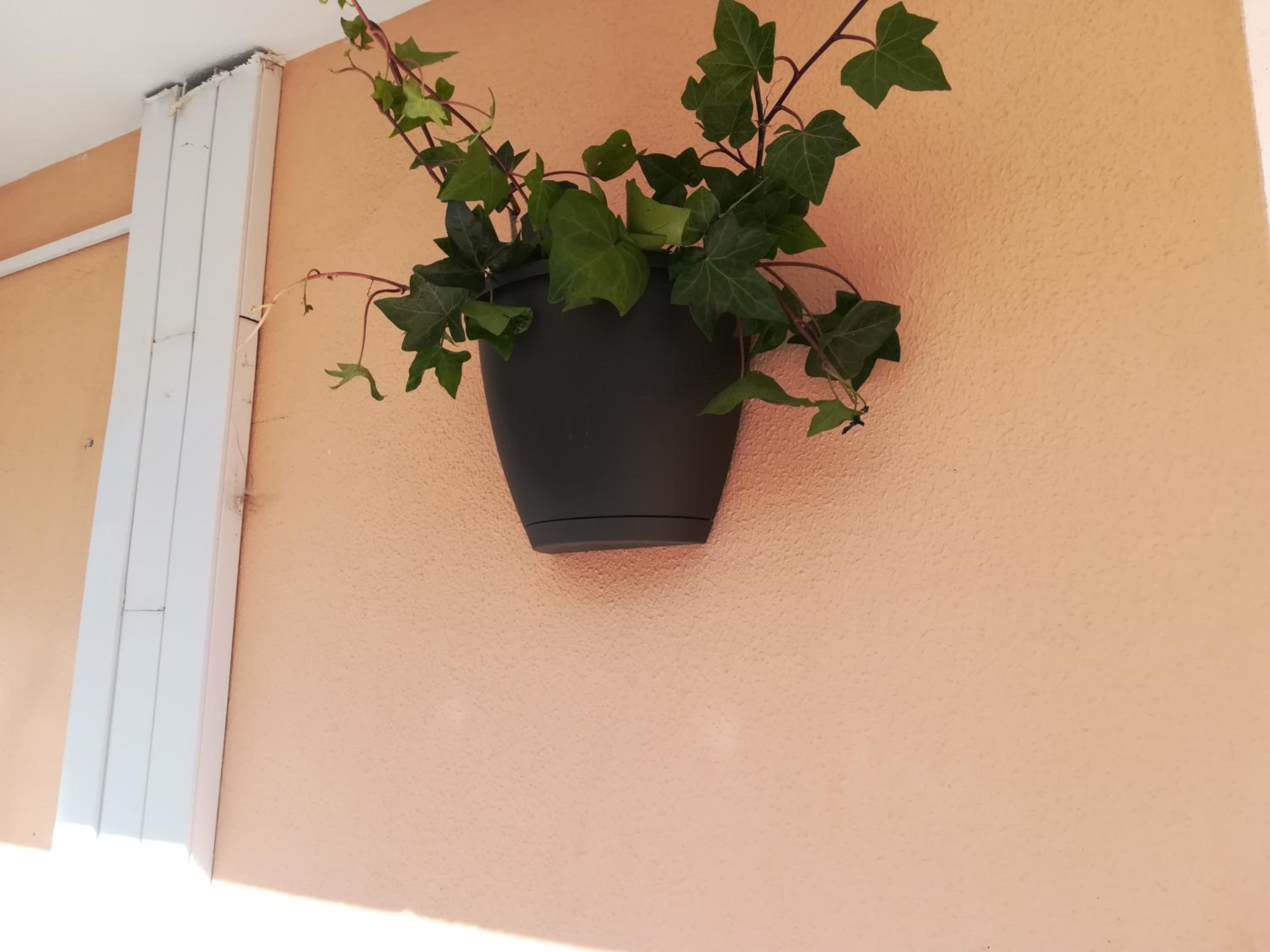 My Guest House