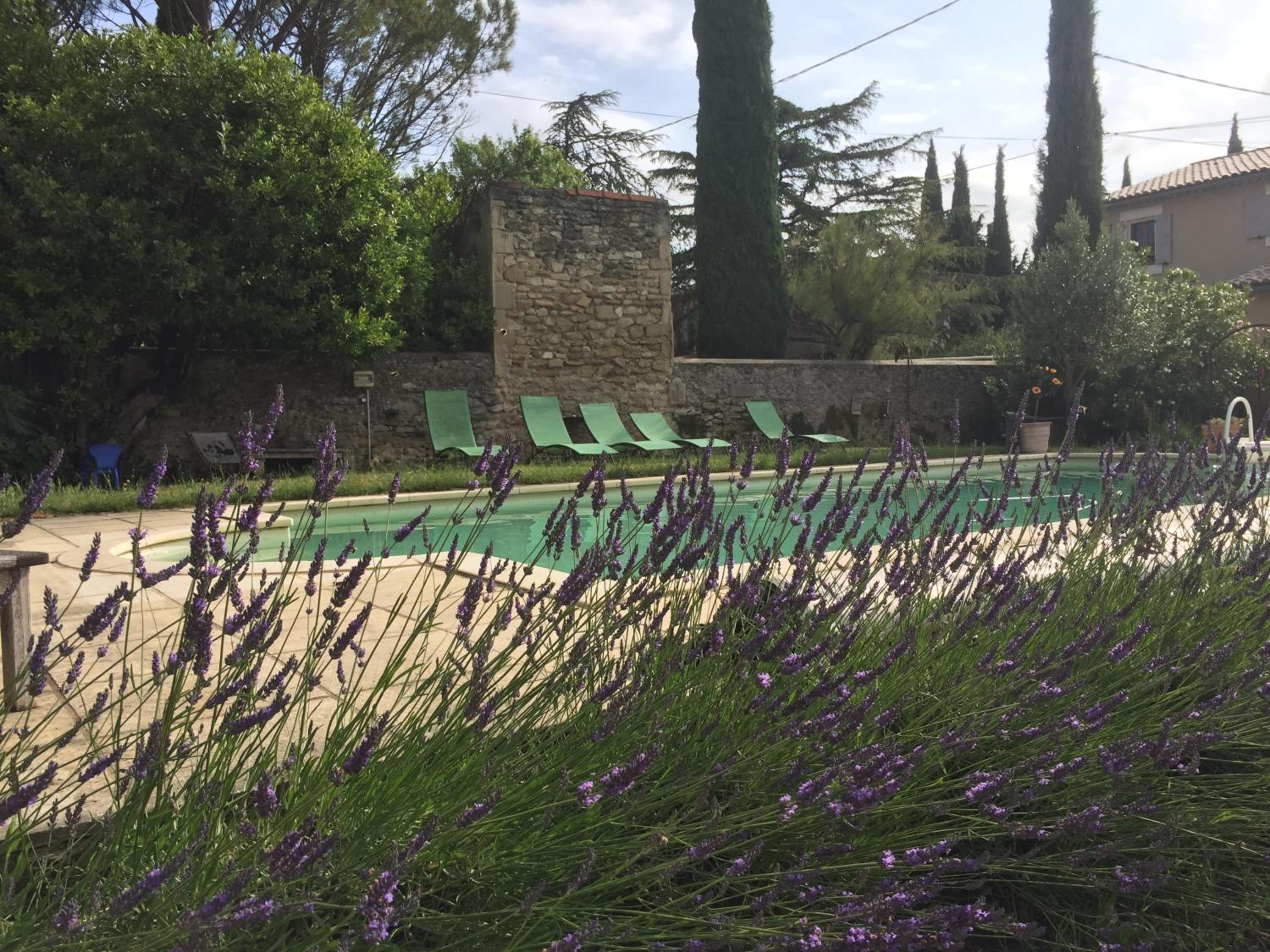 Photo 17