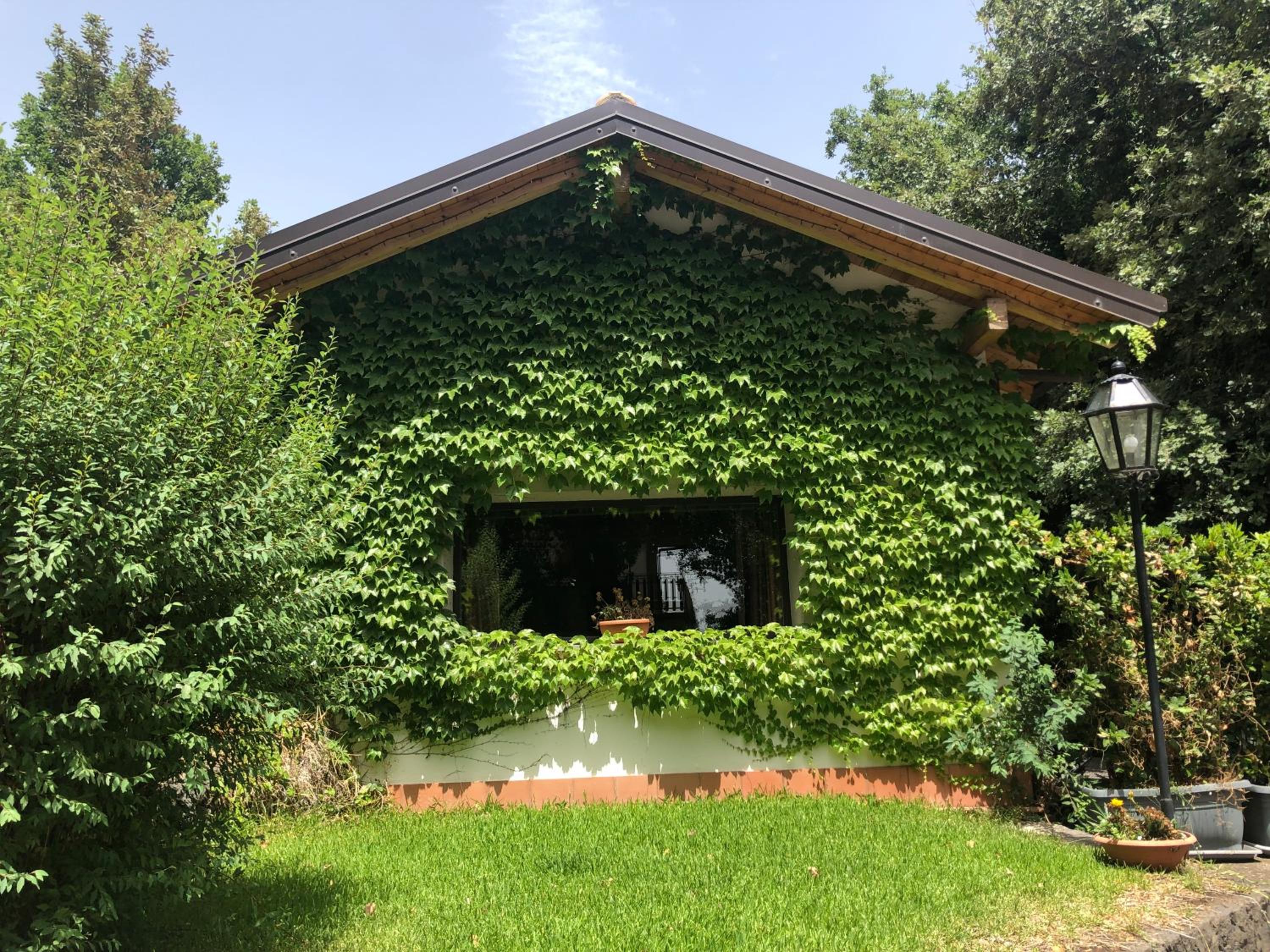 Domus Verdiana
