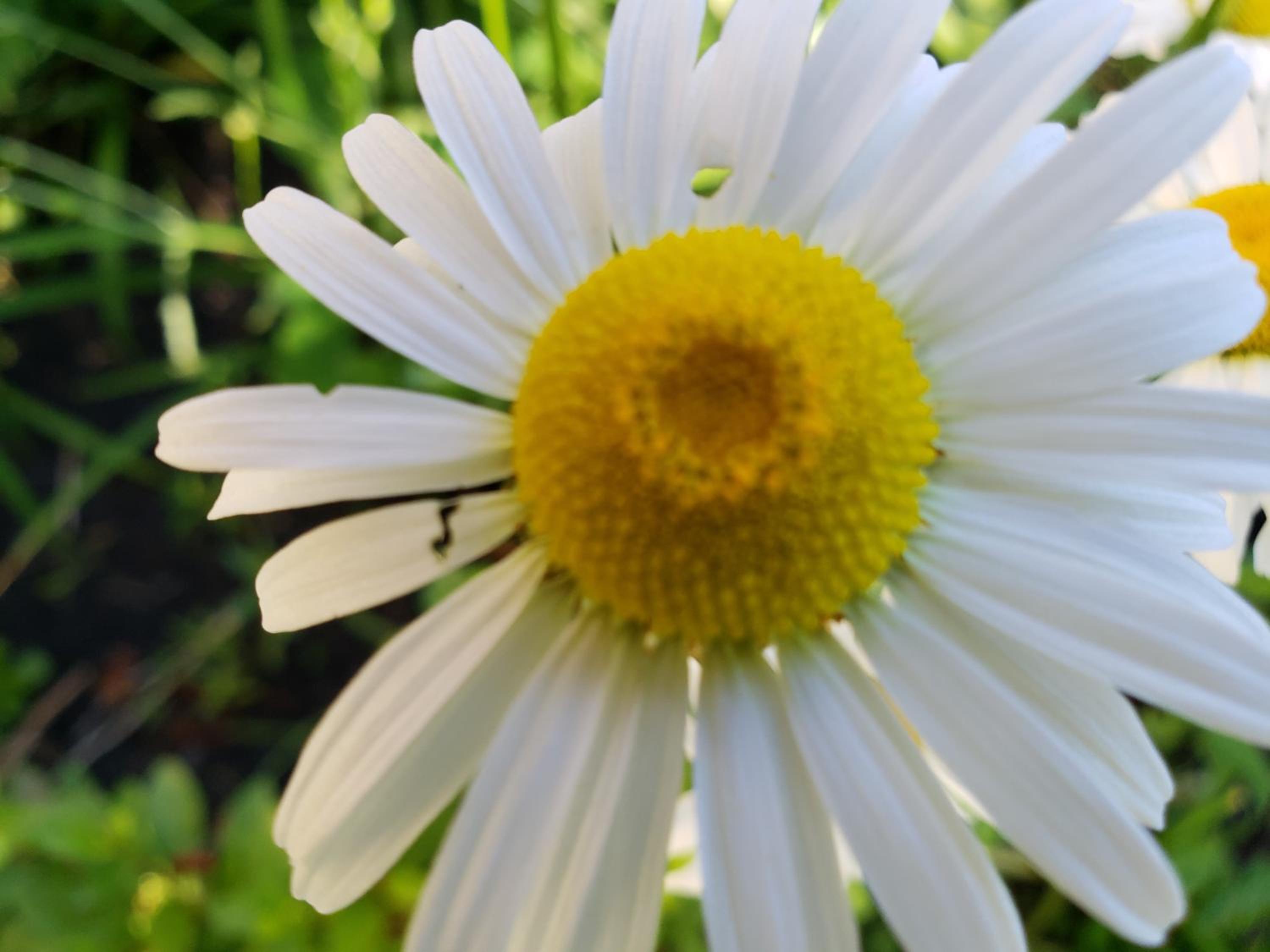 Elmere House Bed & Breakfast
