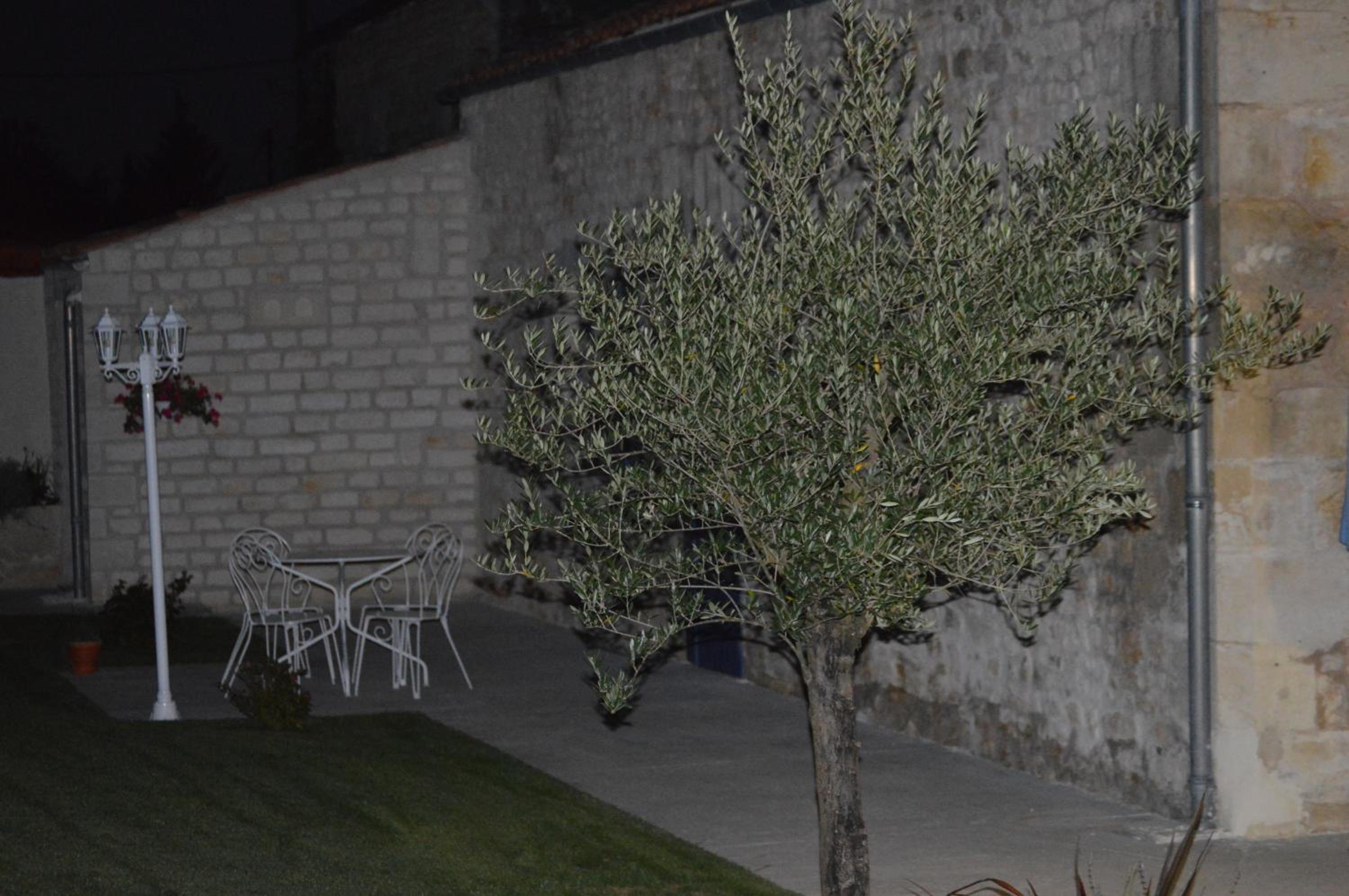 Photo 29