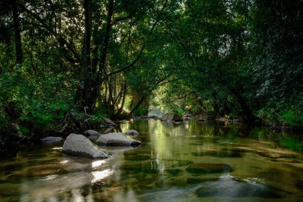 Hazyview Vacations - The Reserve Boutique Hotel - Property Image 13