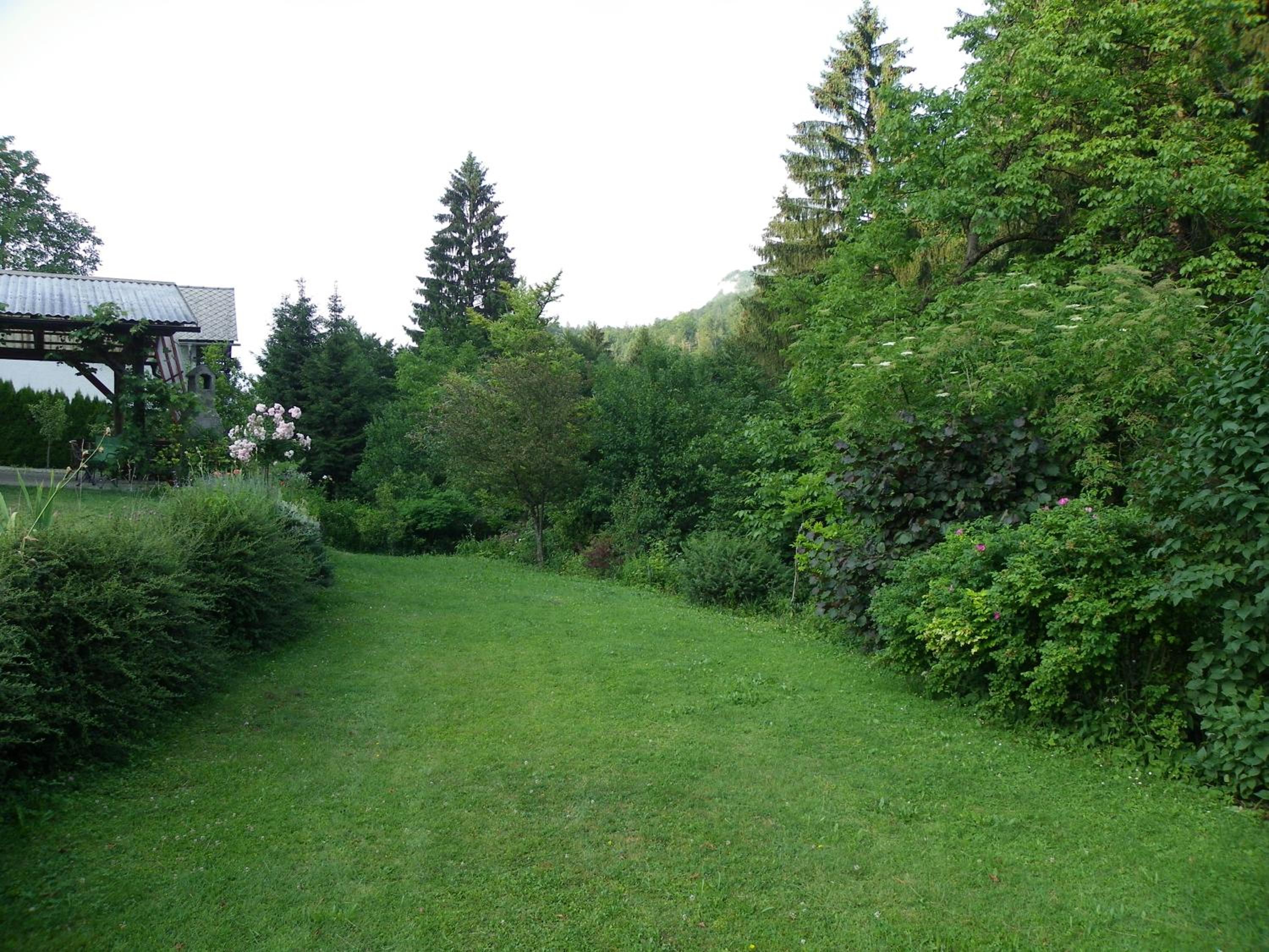 Photo 40
