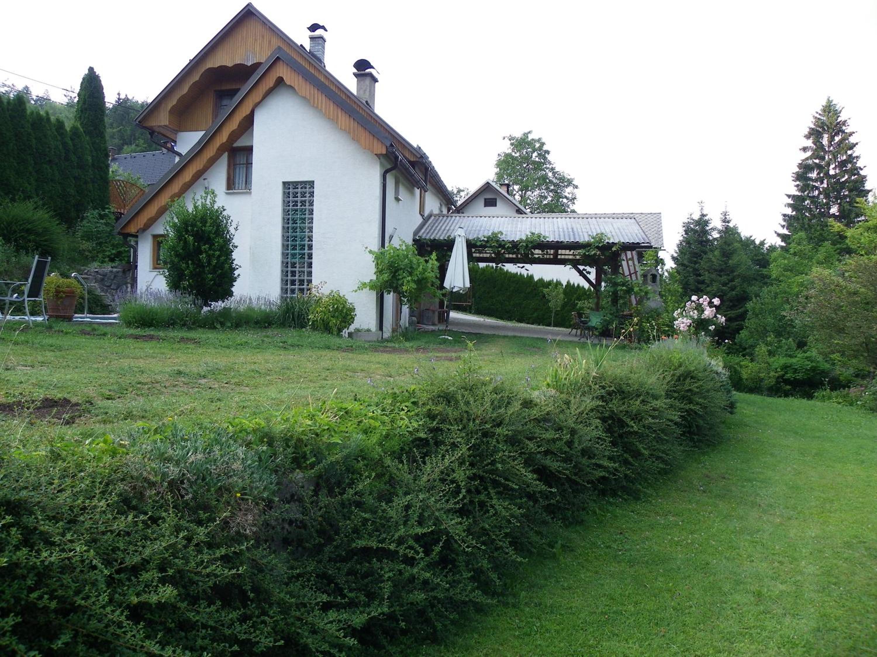 Photo 41