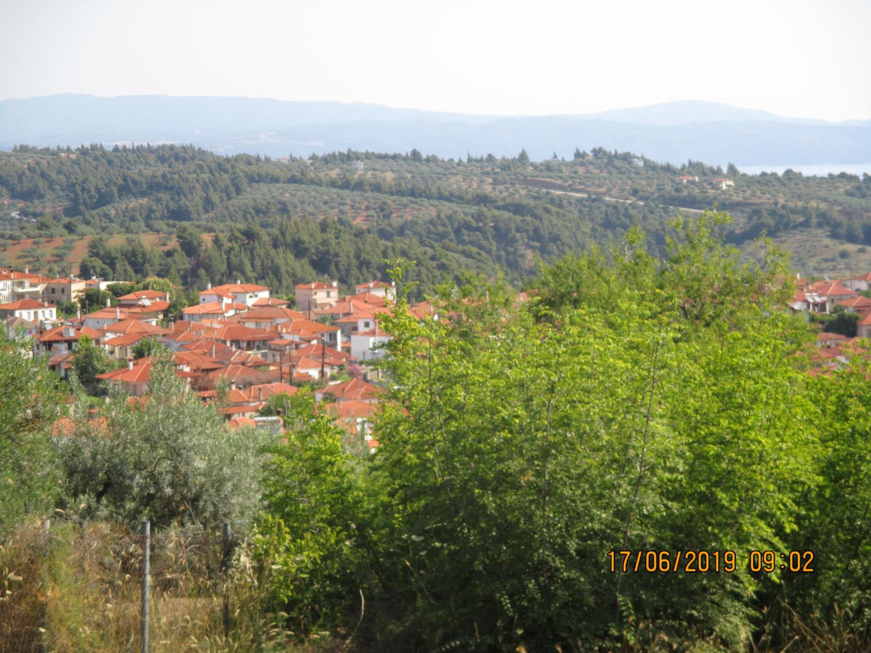 Photo 47