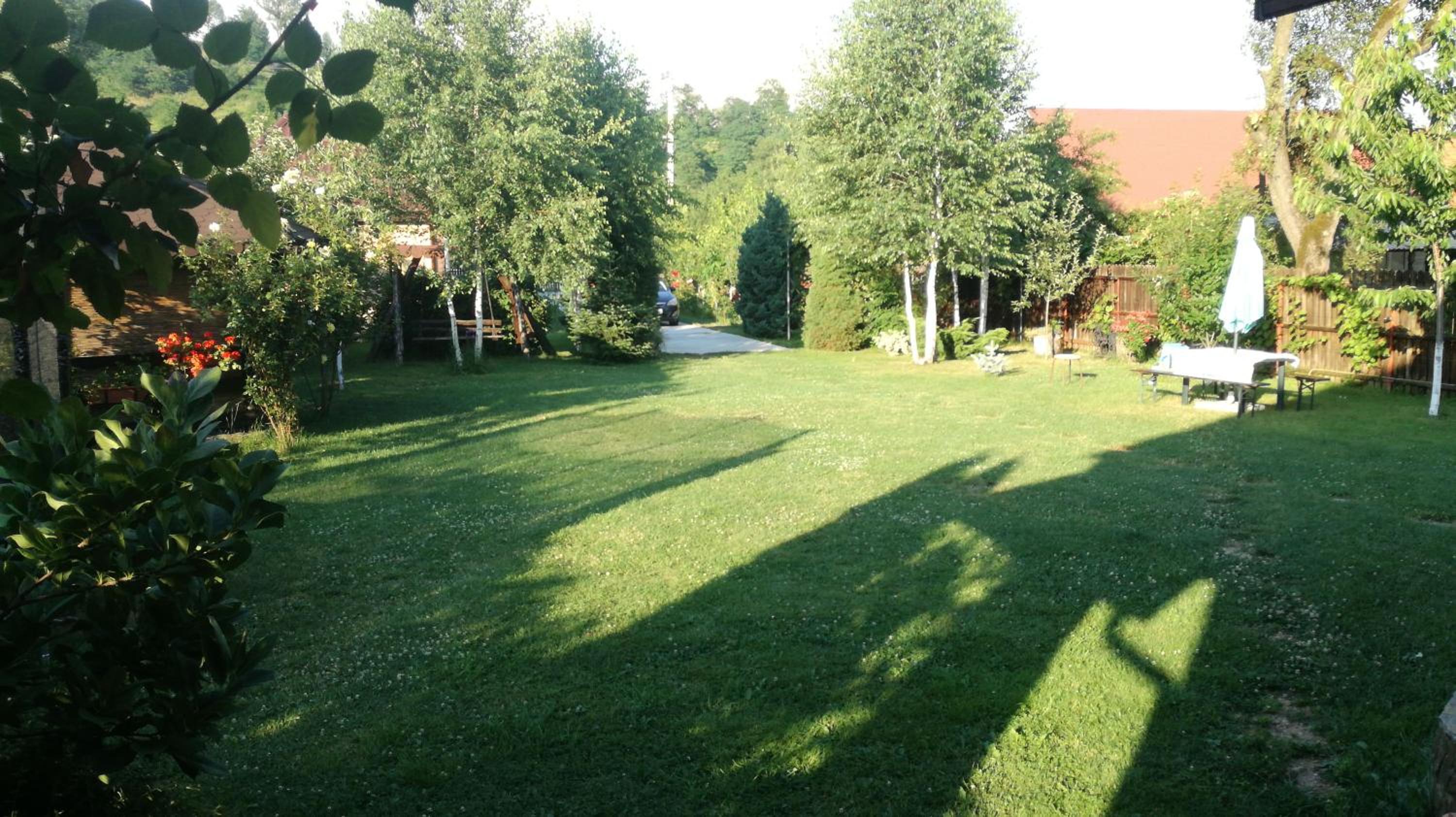 Photo 40