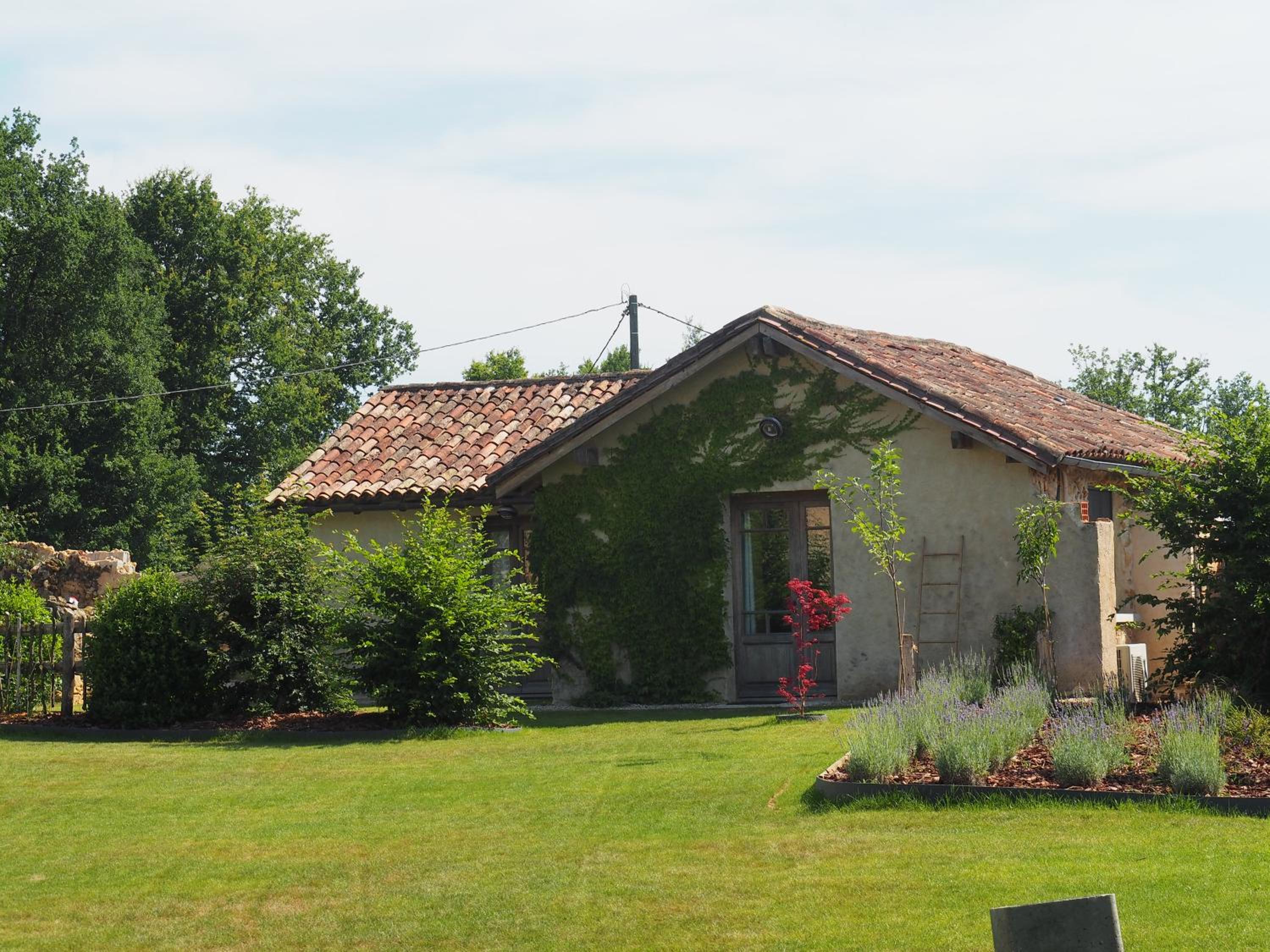 Photo 15