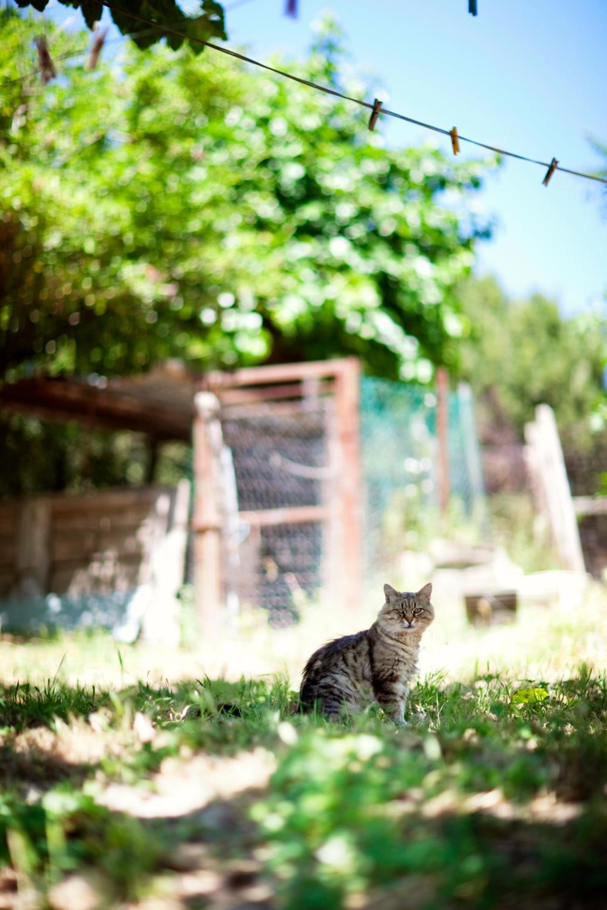 Agriturismo Pozzuolo