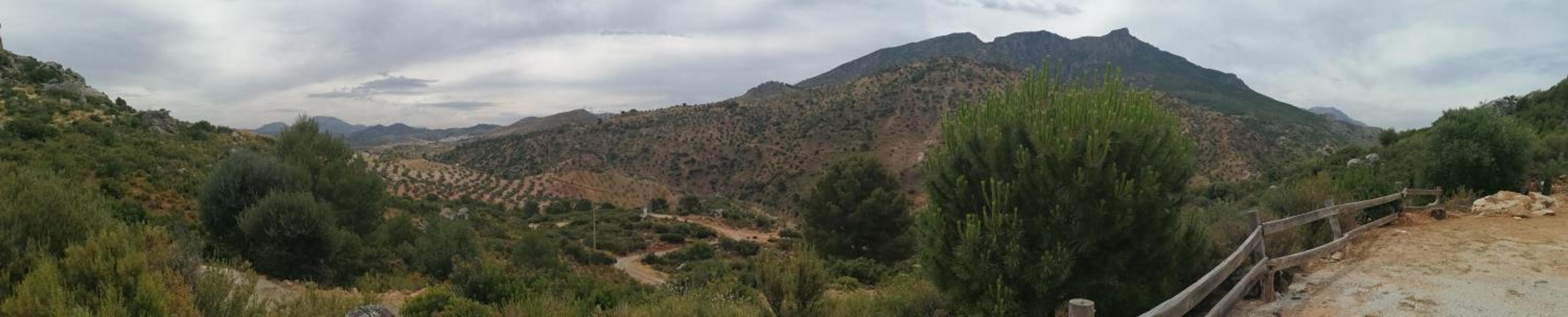 La solana de turon. El pino photo 4