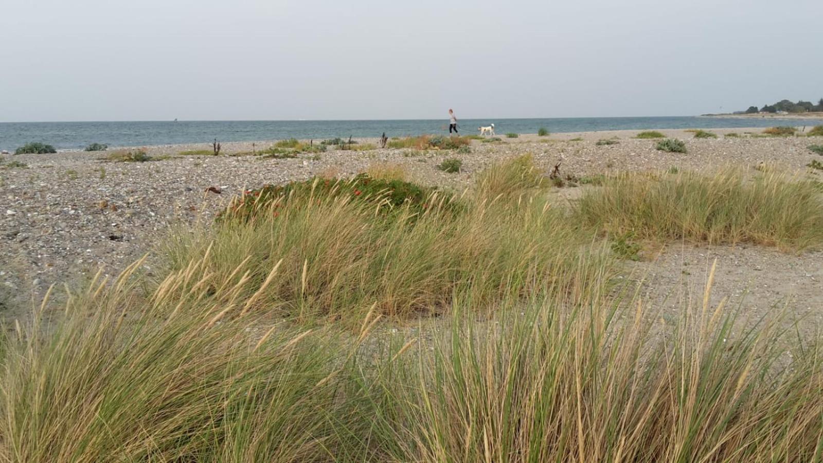 Inselloft-Fehmarn view 2