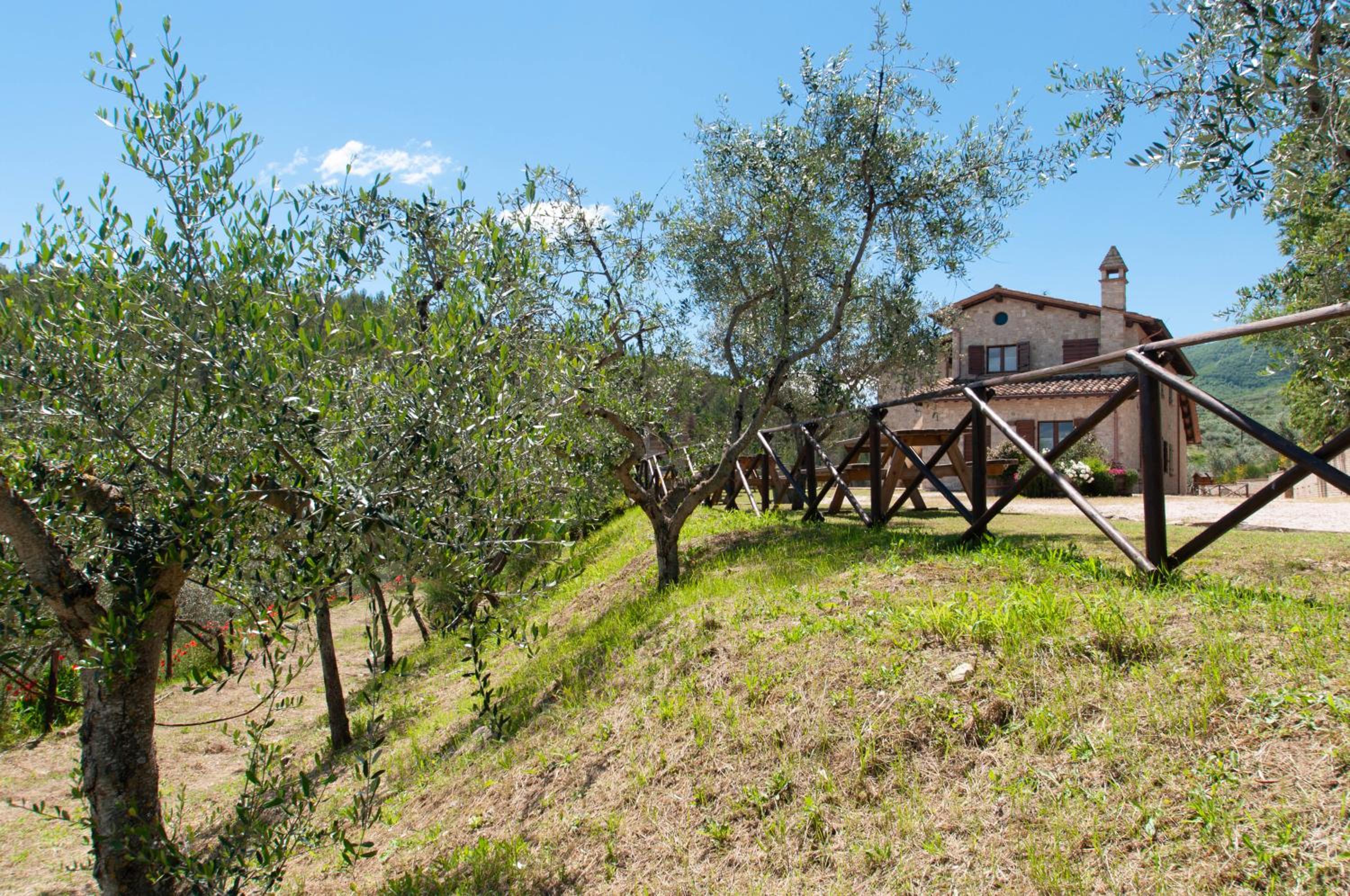 Agriturismo Molino Verde view 5