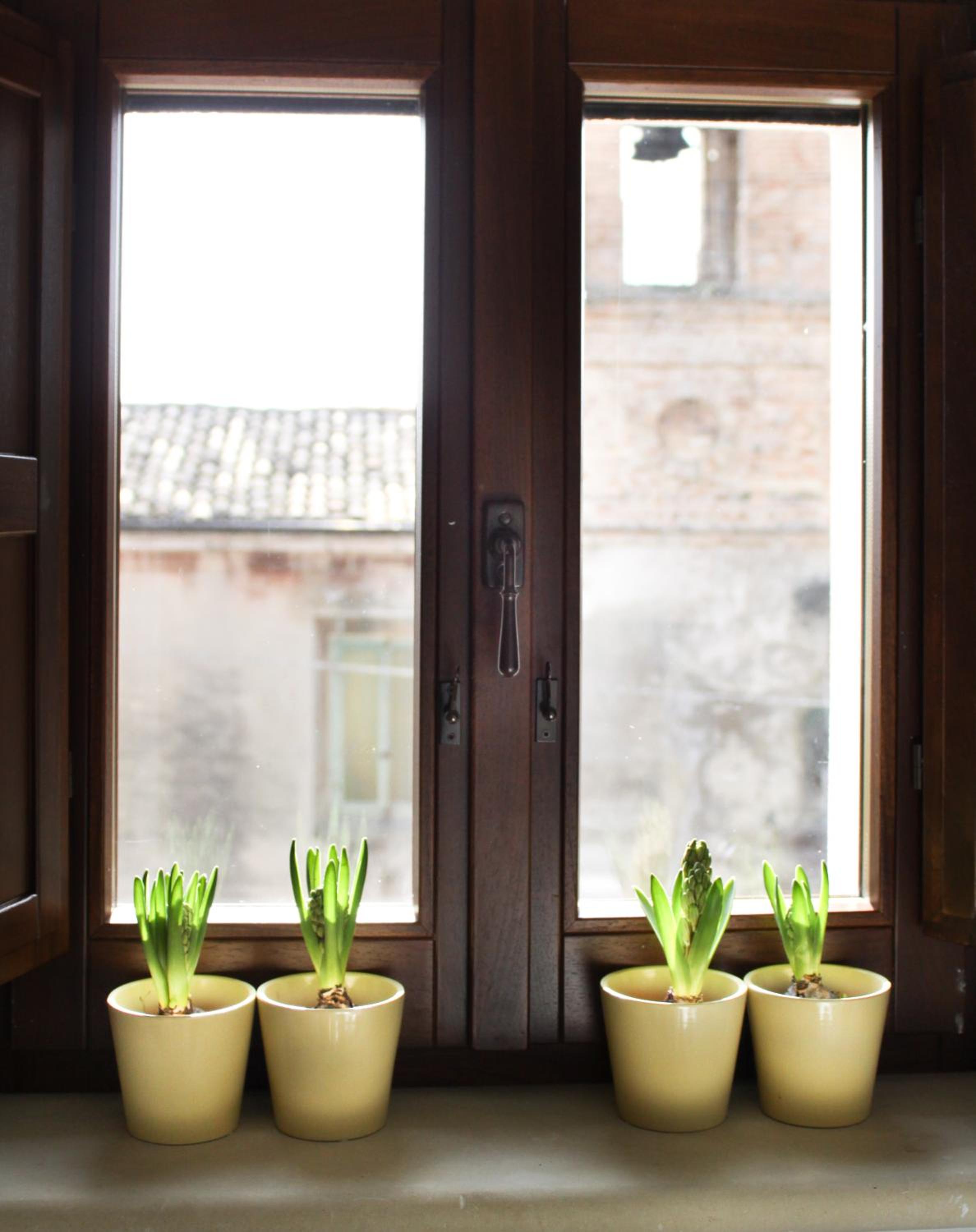 Agriturismo Pozzuolo