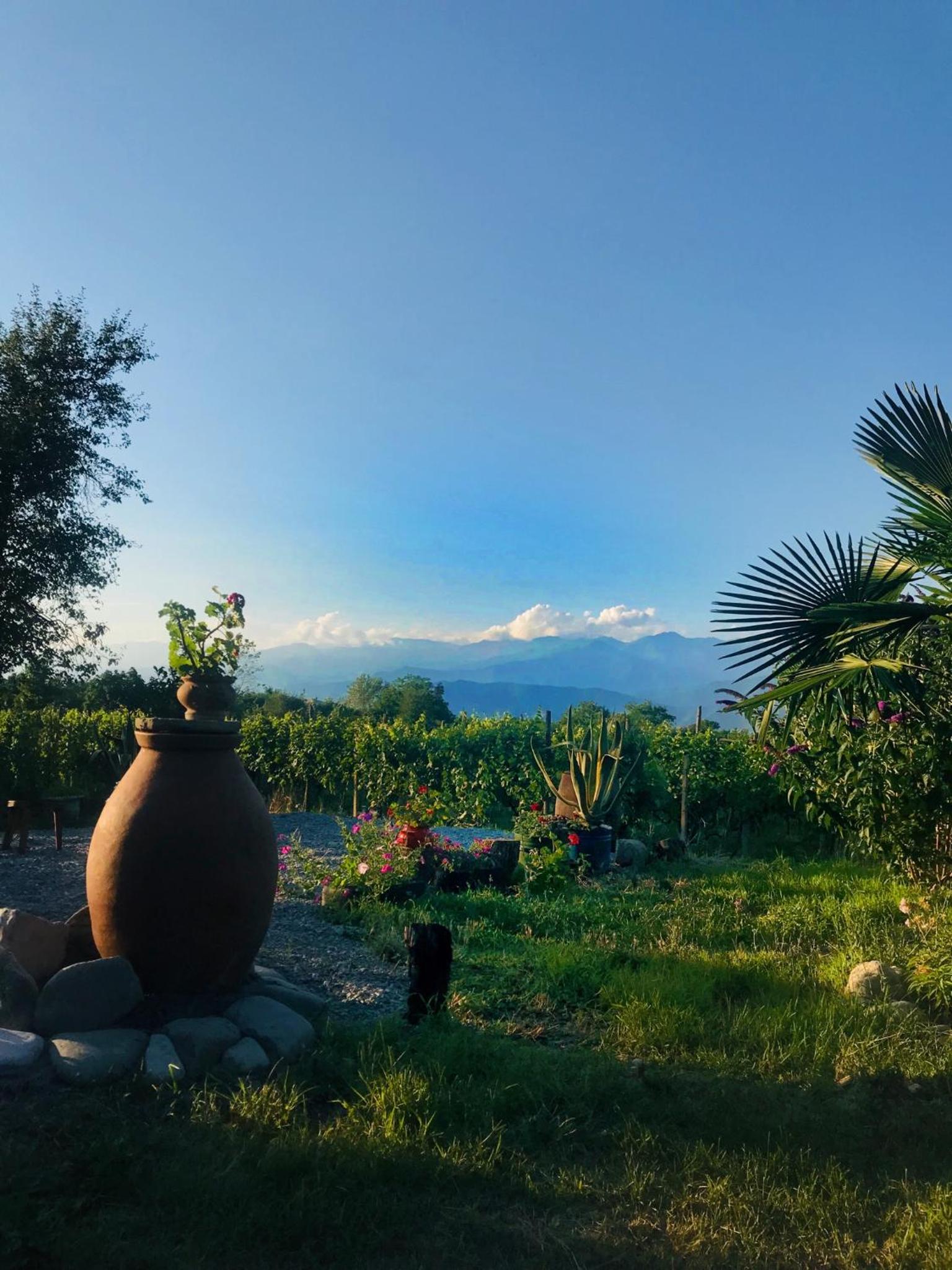 Villa Tsinandali