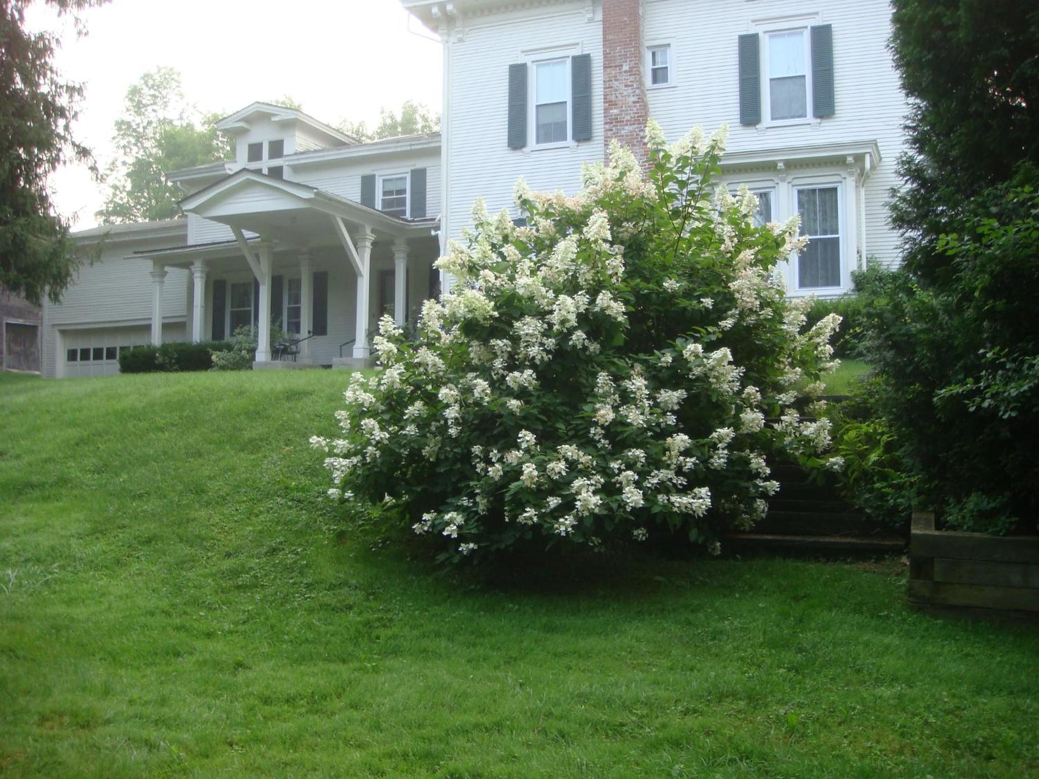 Rutland Vacations - Antique Mansion B  B - Property Image 7