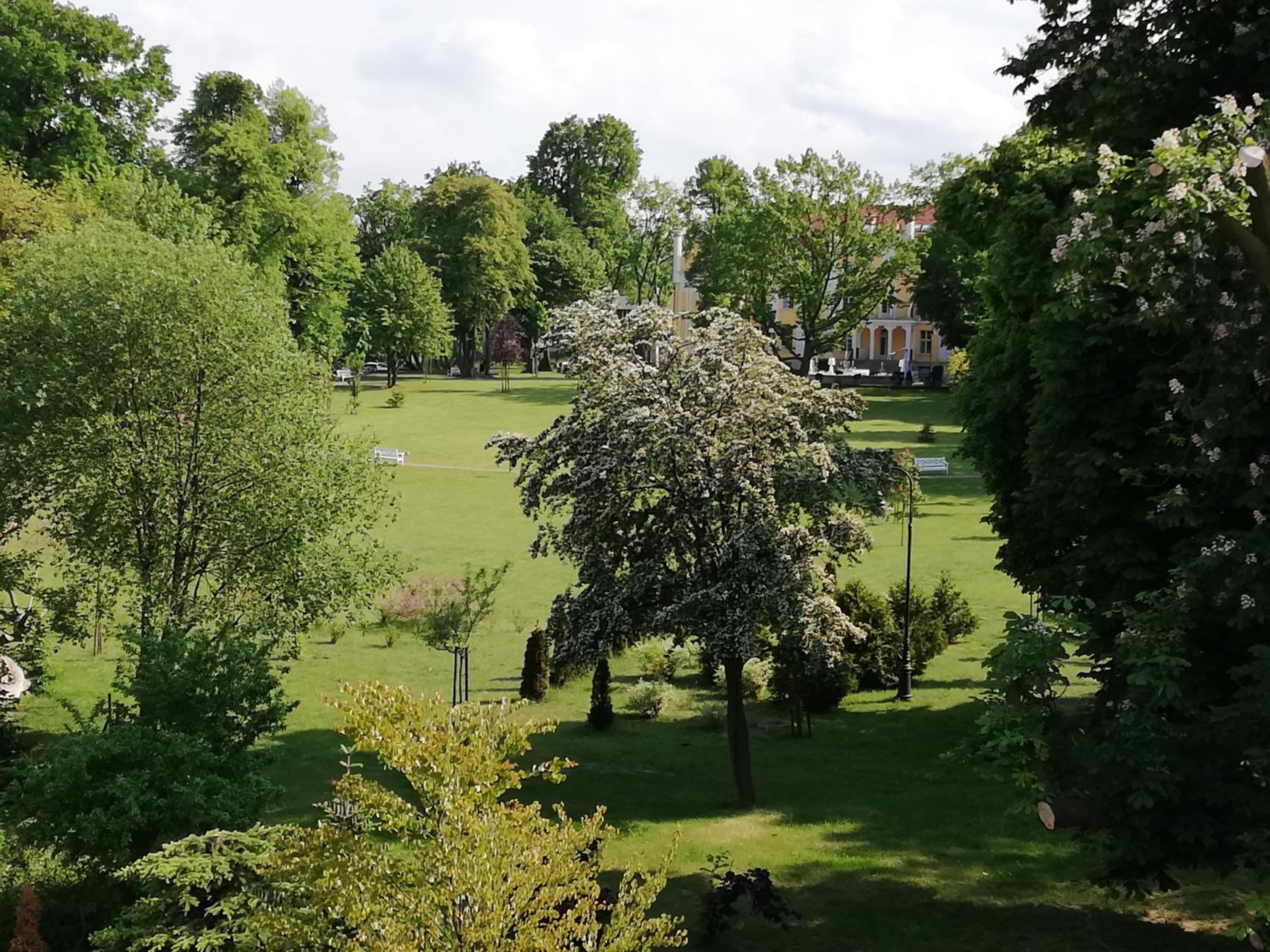 Gdynia Orlowo Honey Apartment view 5