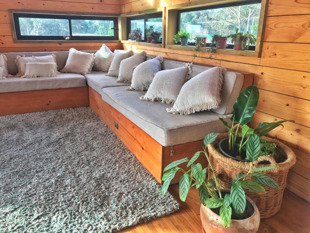 Lobos Loft