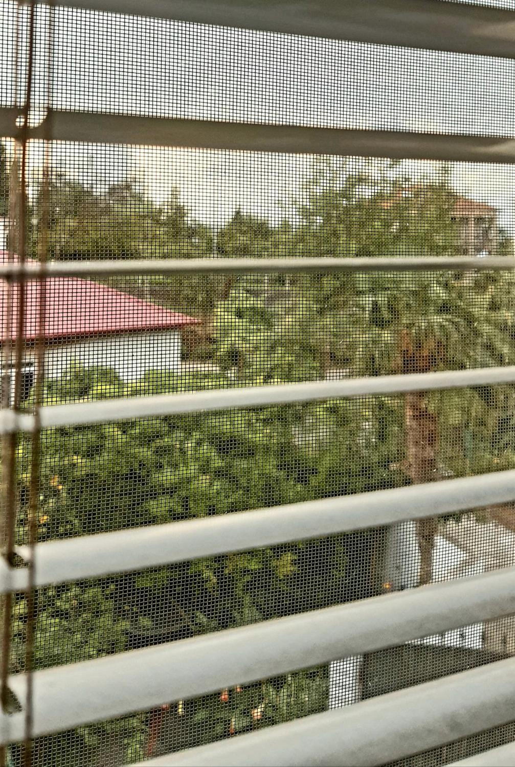 TJ Guest House view 4