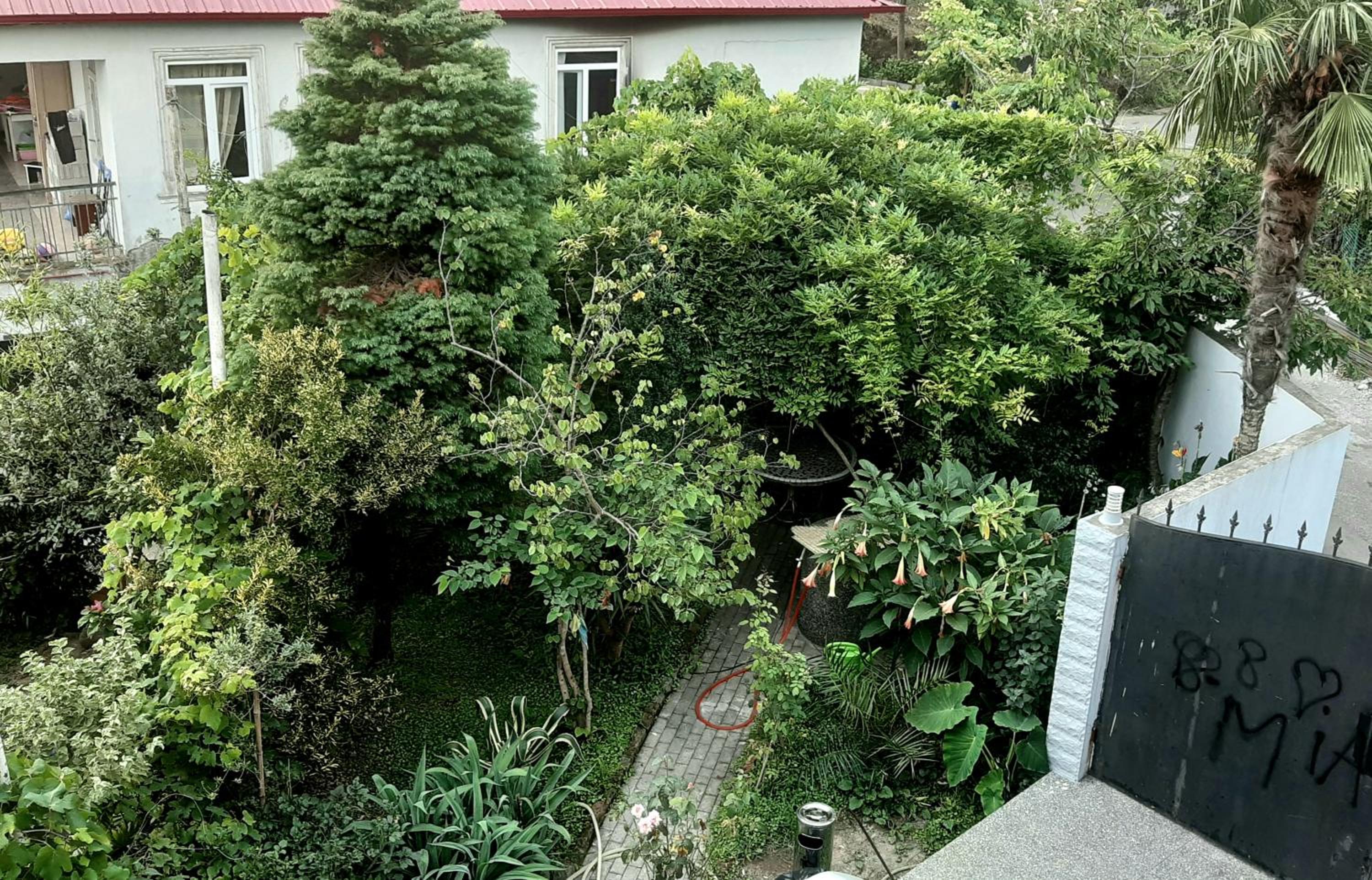 TJ Guest House view 2