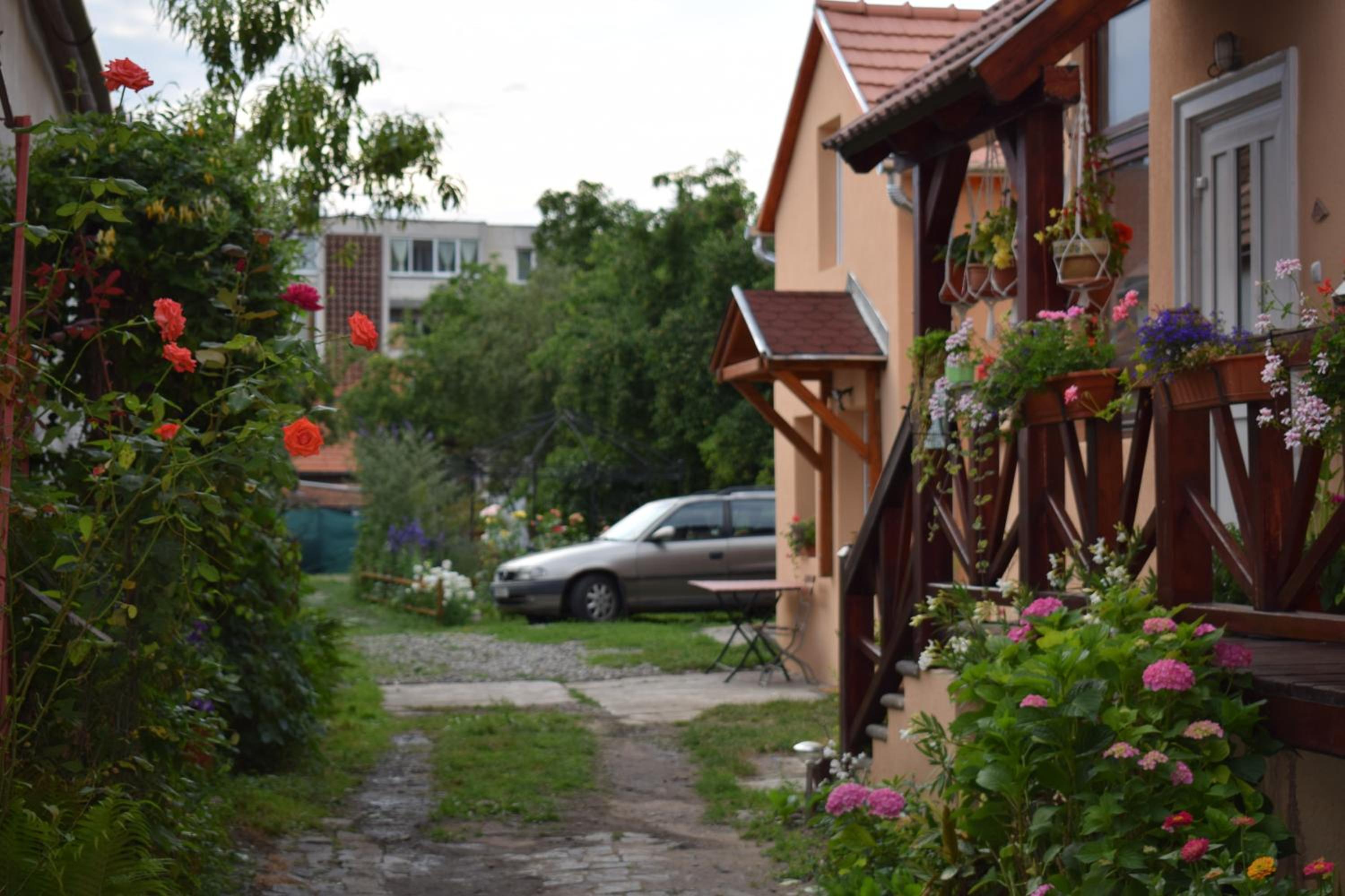 Photo 44
