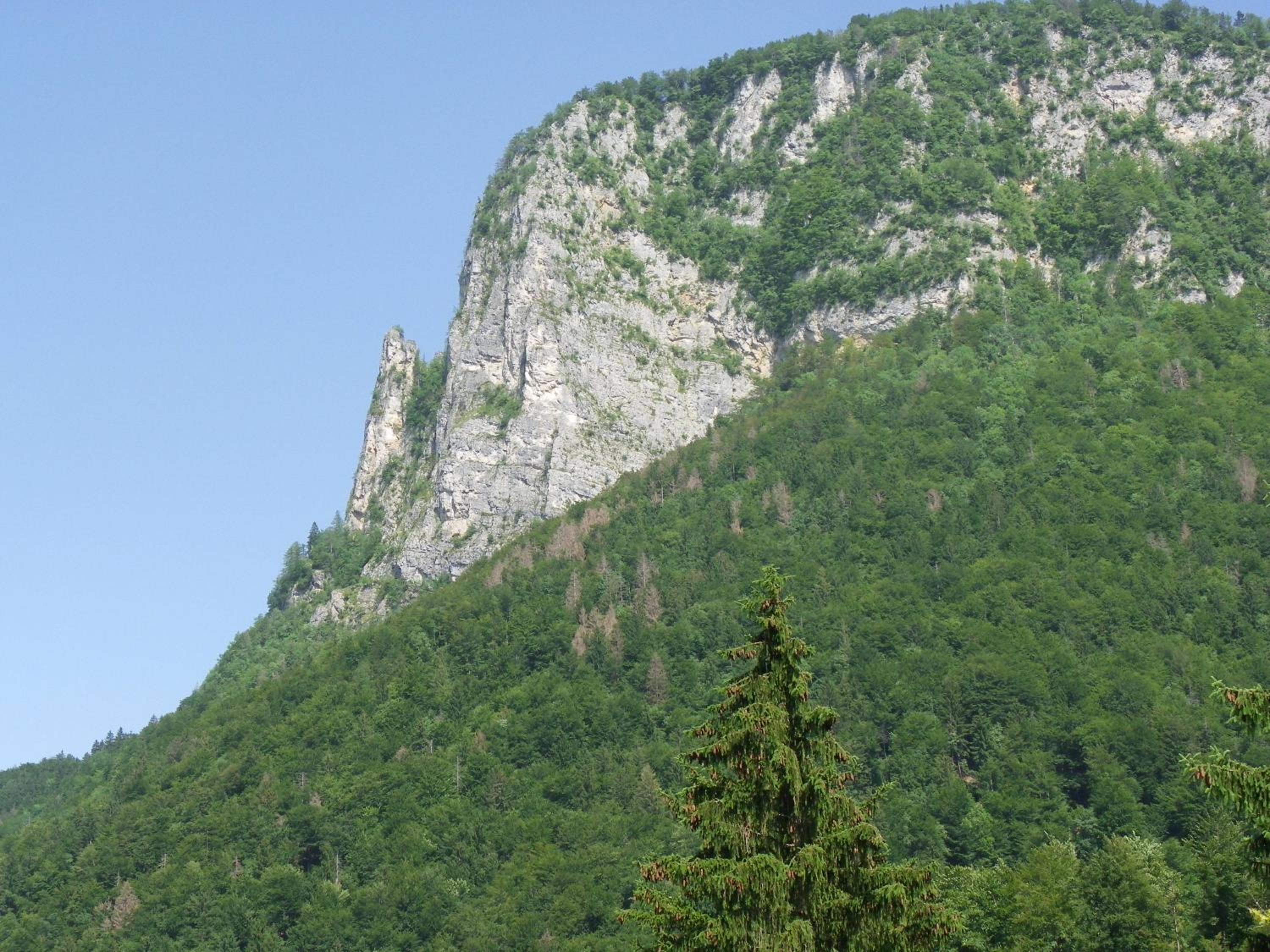 Photo 24