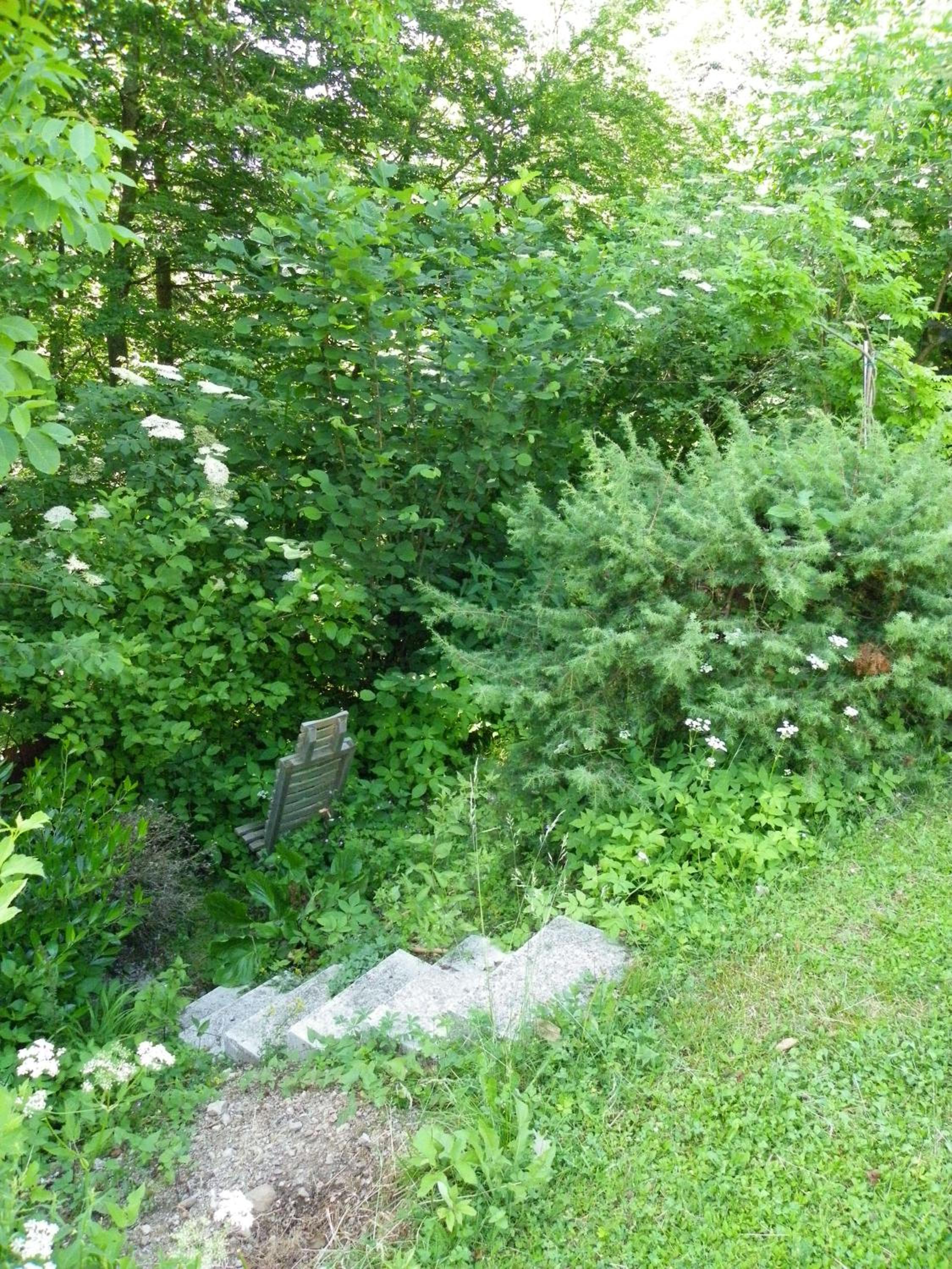 Photo 52