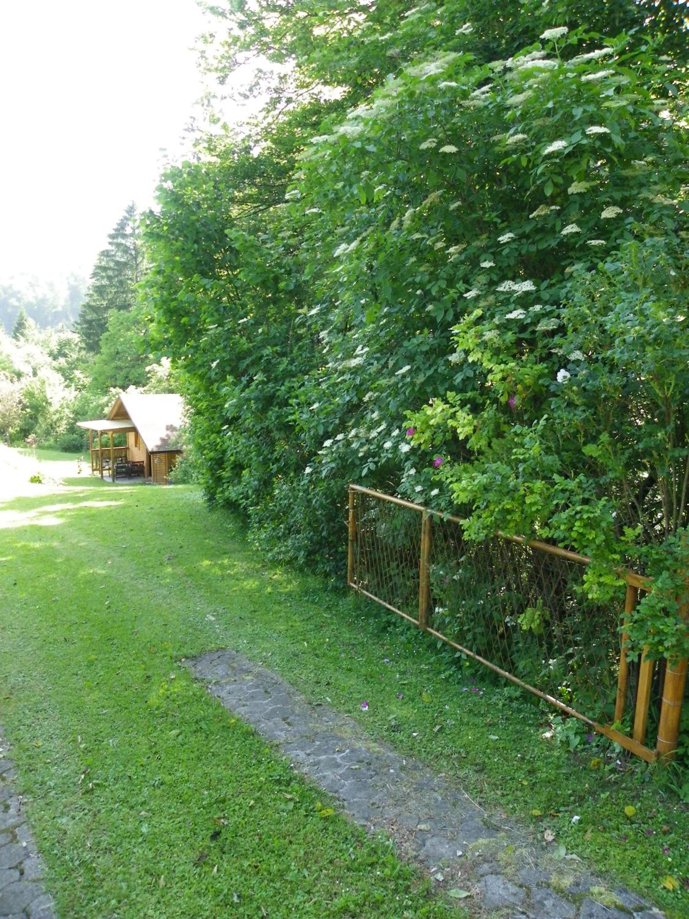 Photo 32
