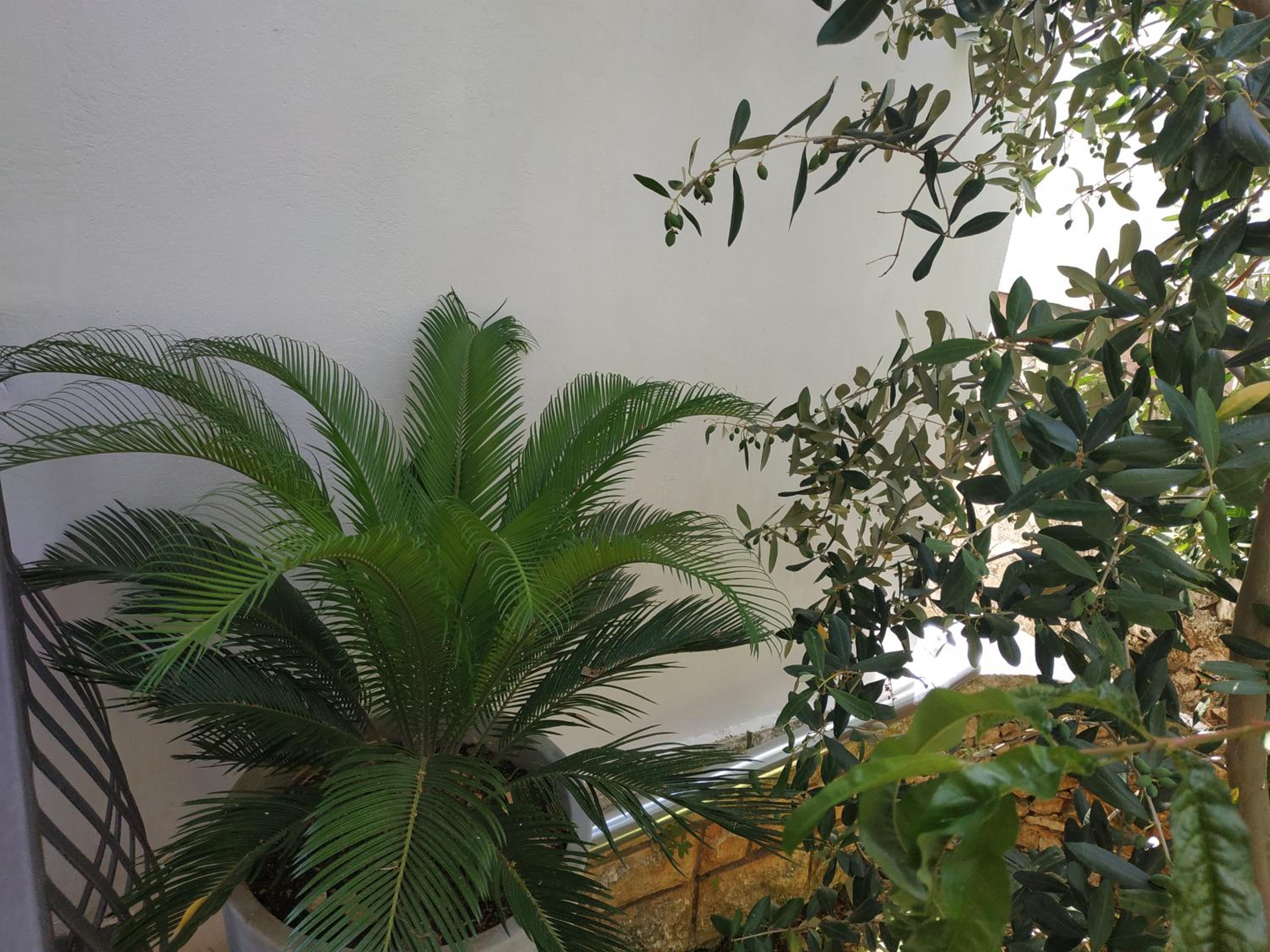 Photo 46