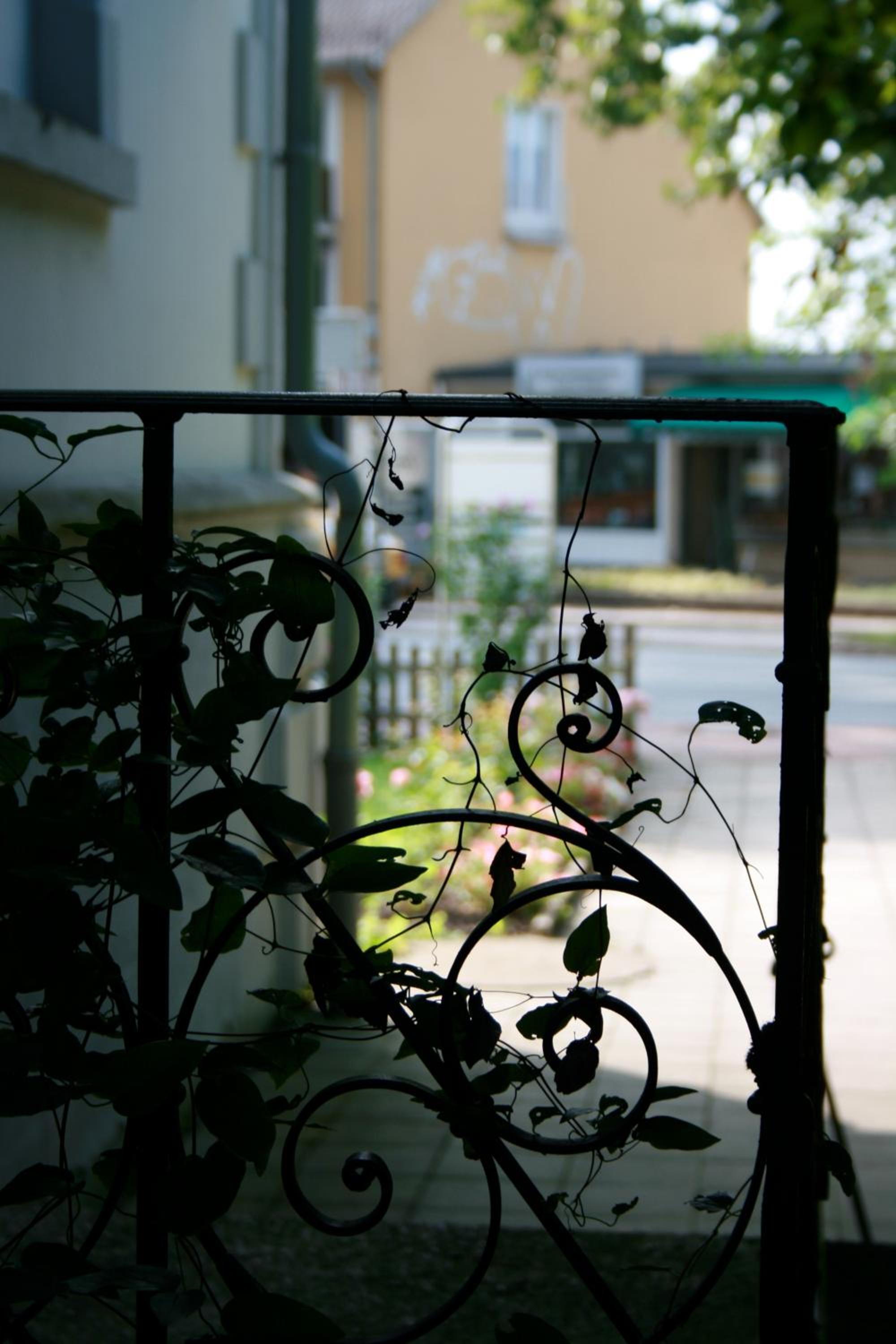 Ferienwohnung am Kurpark