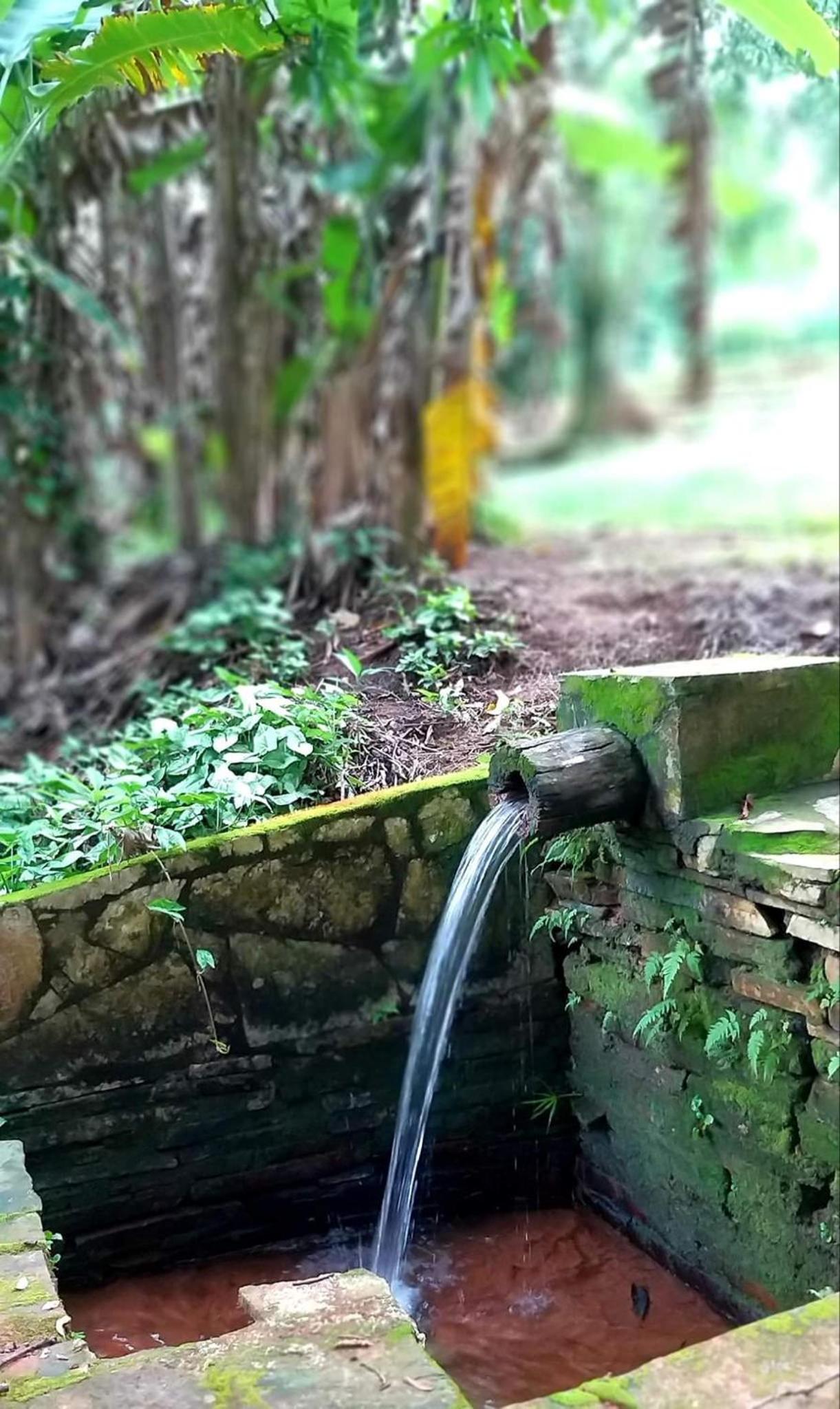Chacara bica dágua