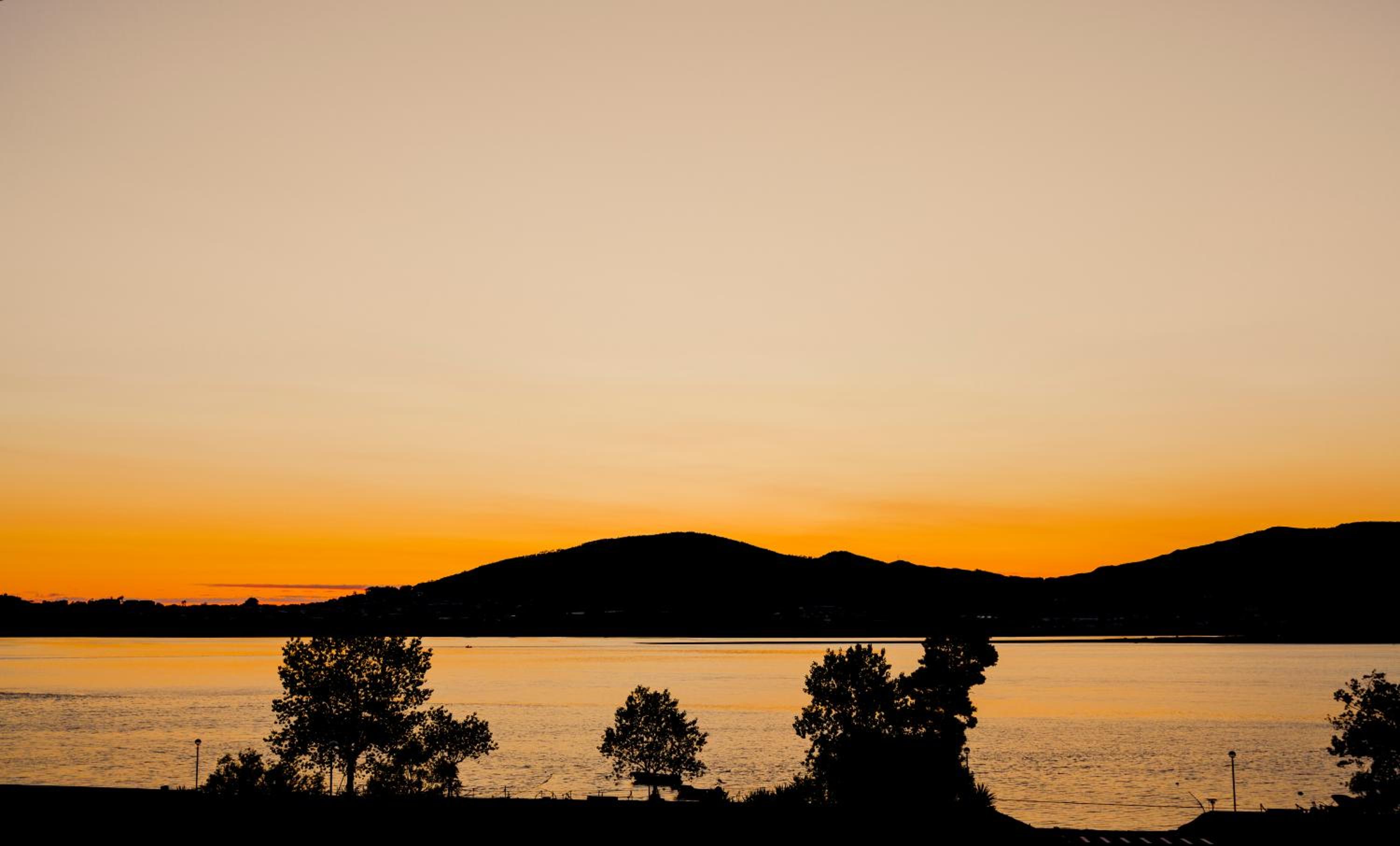 Photo 59