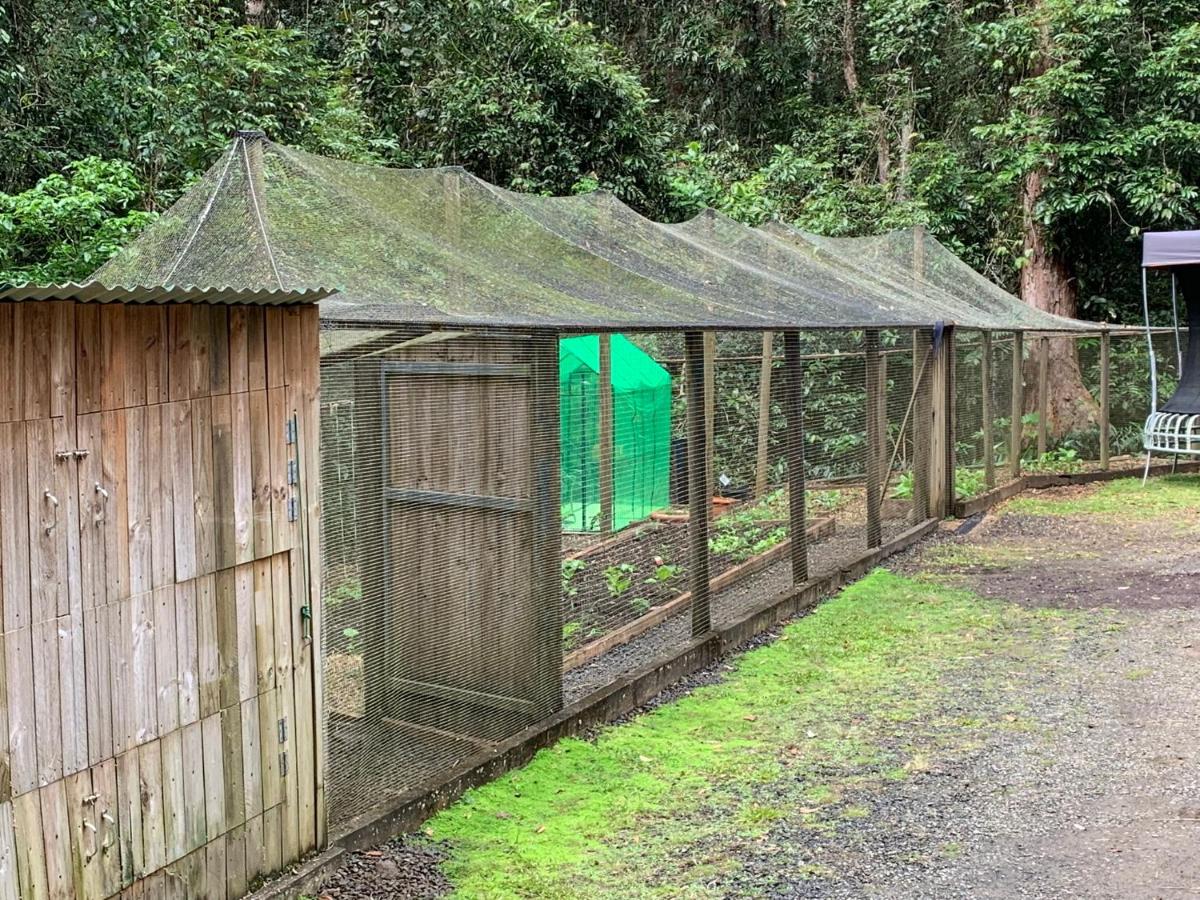 Figtree Getaway