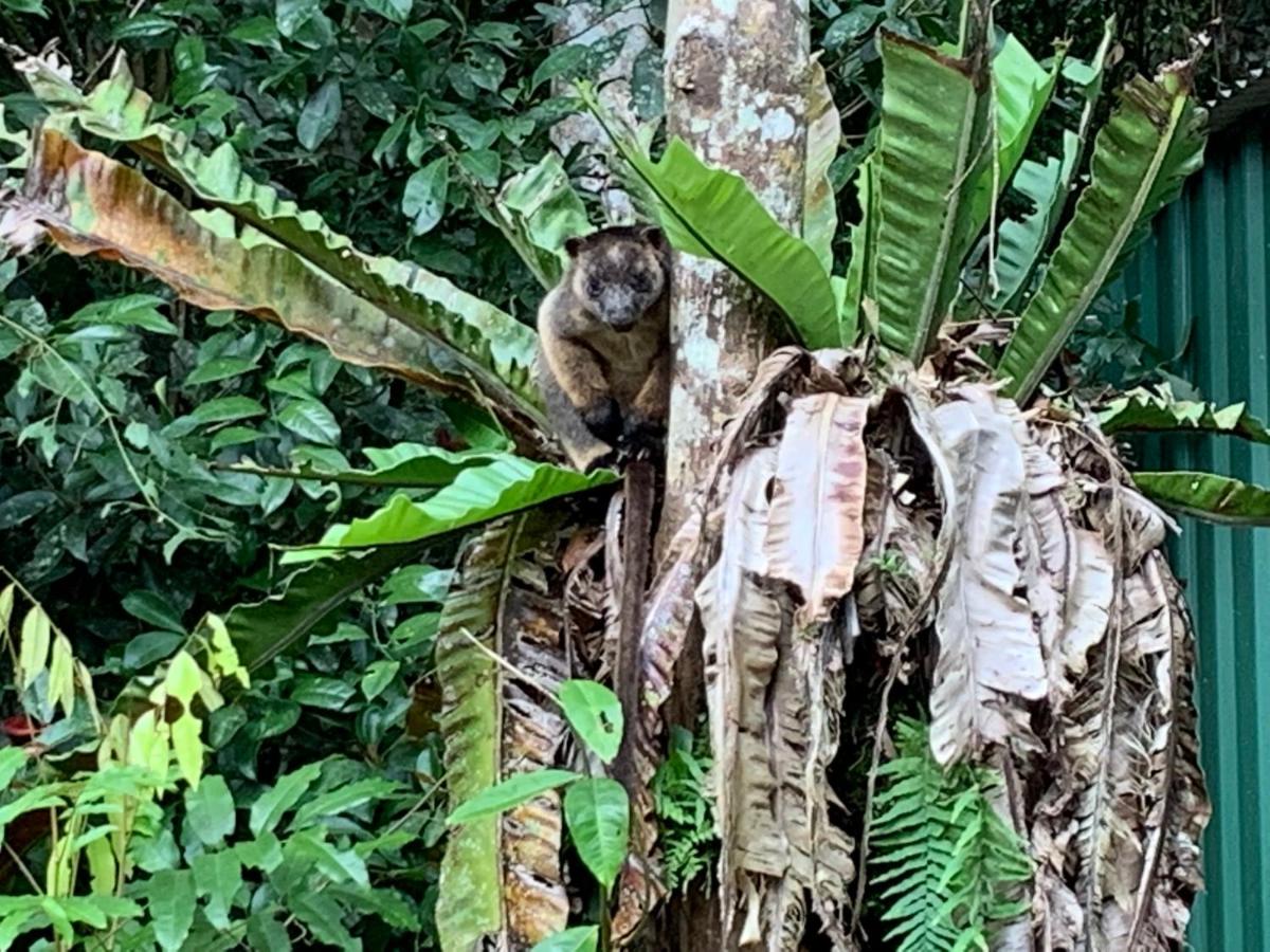 Figtree Getaway