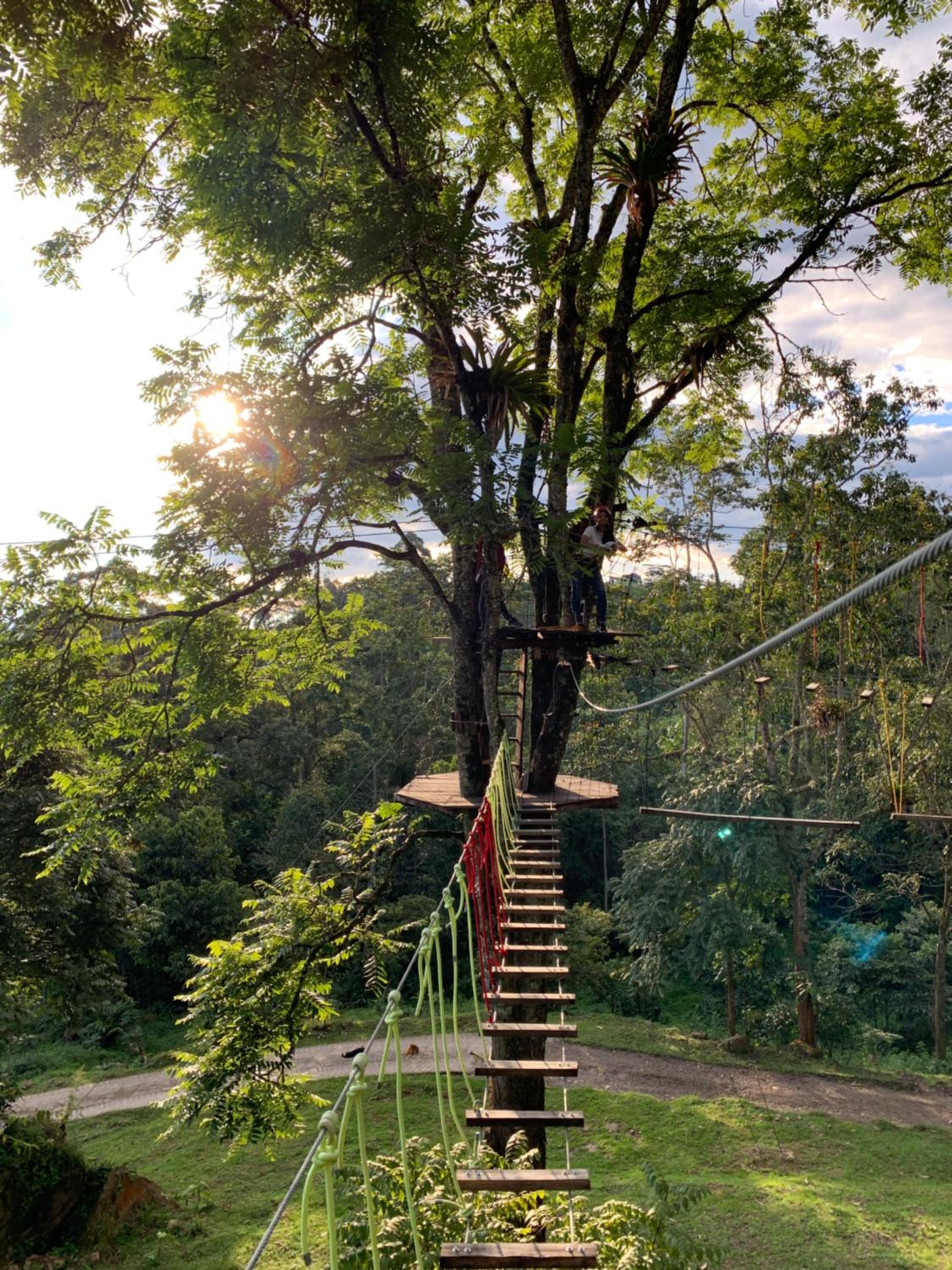 Bosque de Aventura & Glamping El Refugio del Bosque