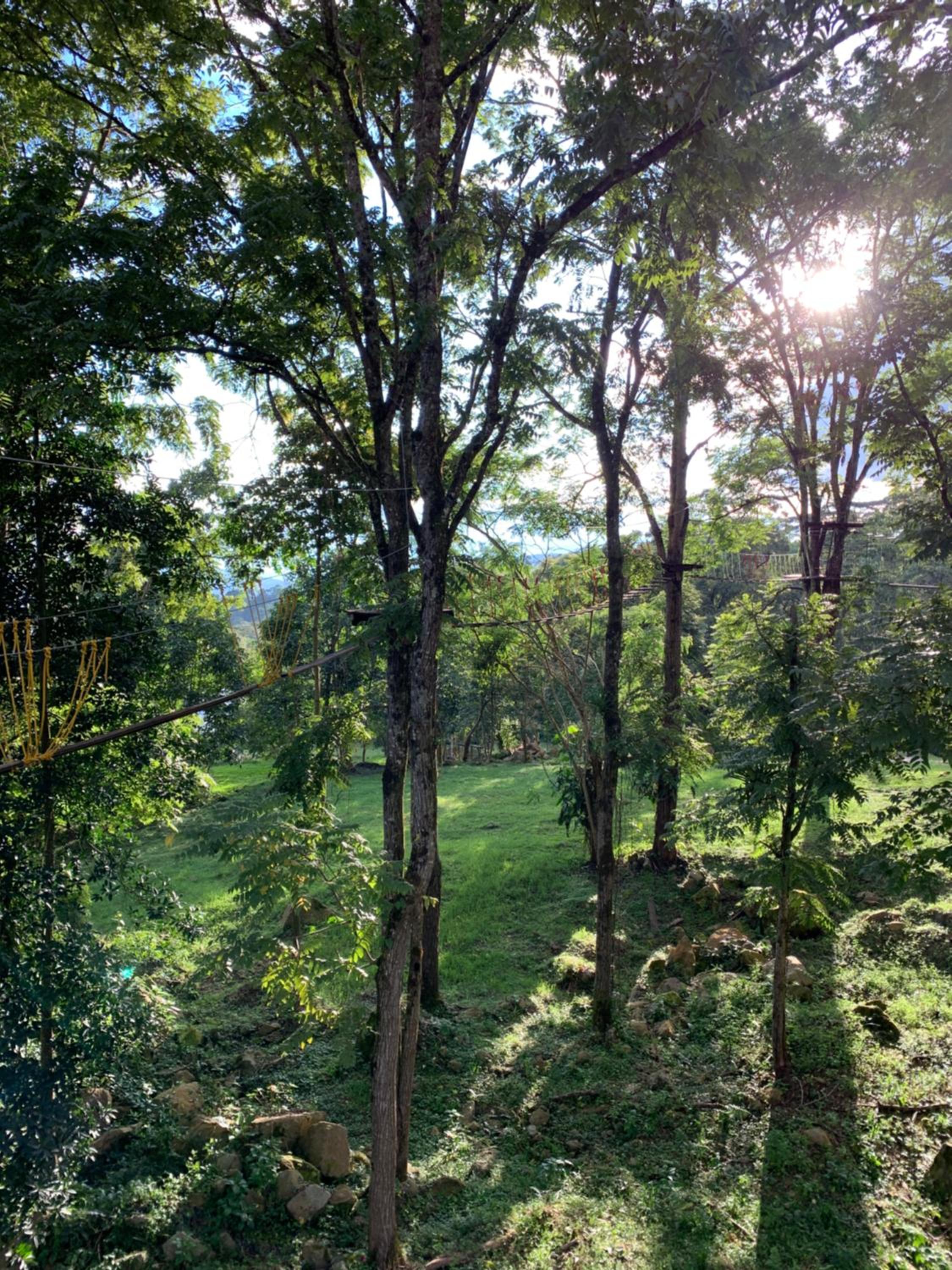 Bosque de Aventura & Glamping El Refugio del Bosque