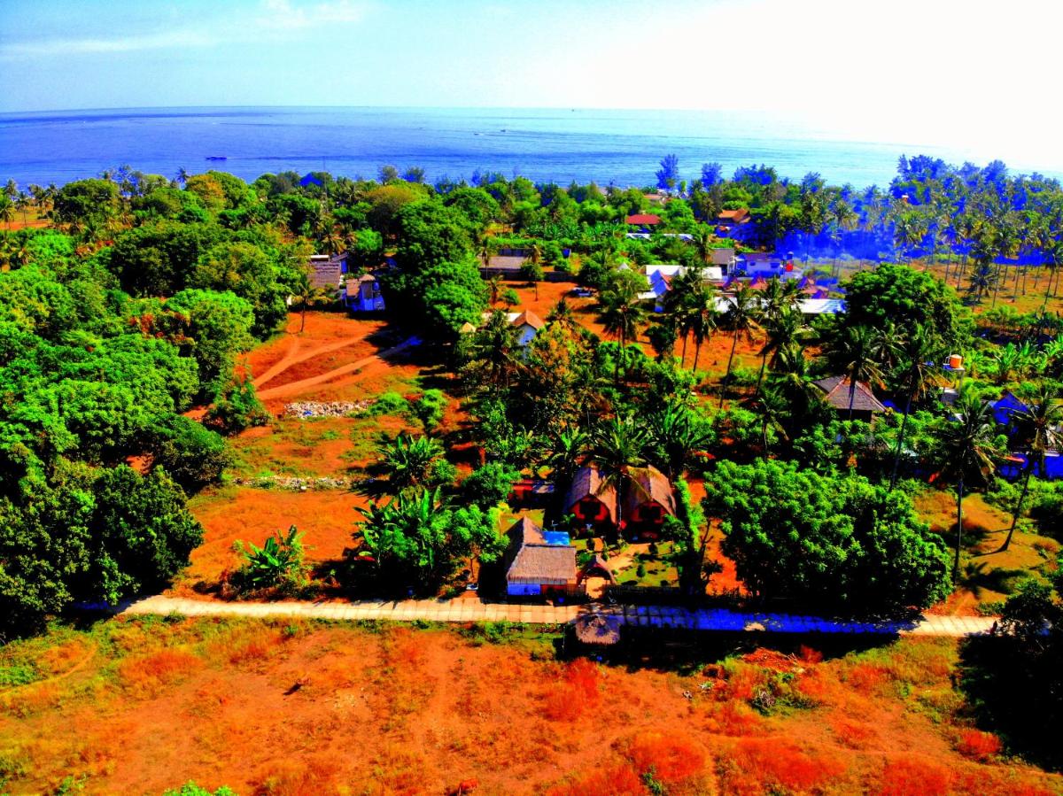 Ofal Lumbung view 5