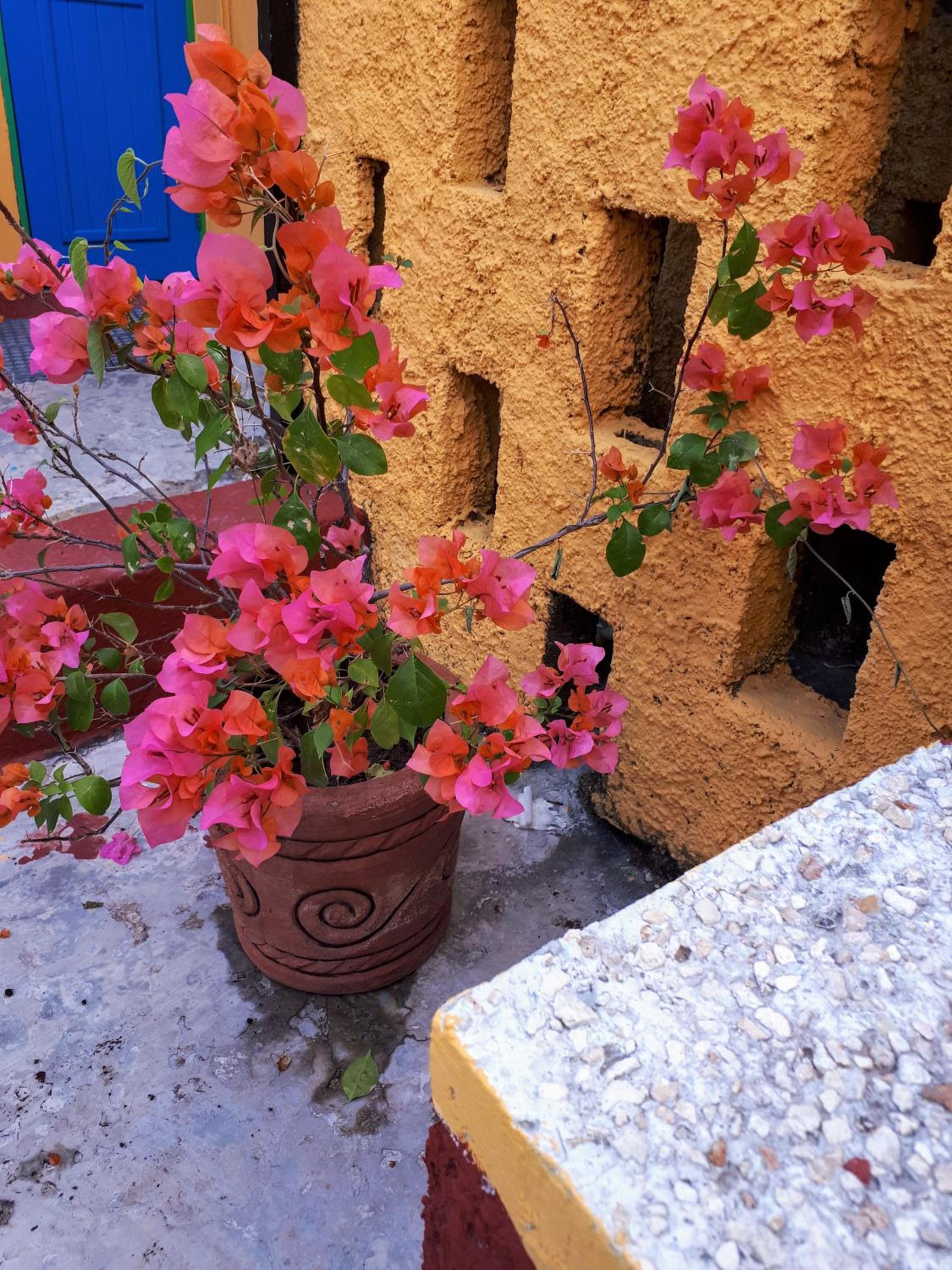 Photo 47