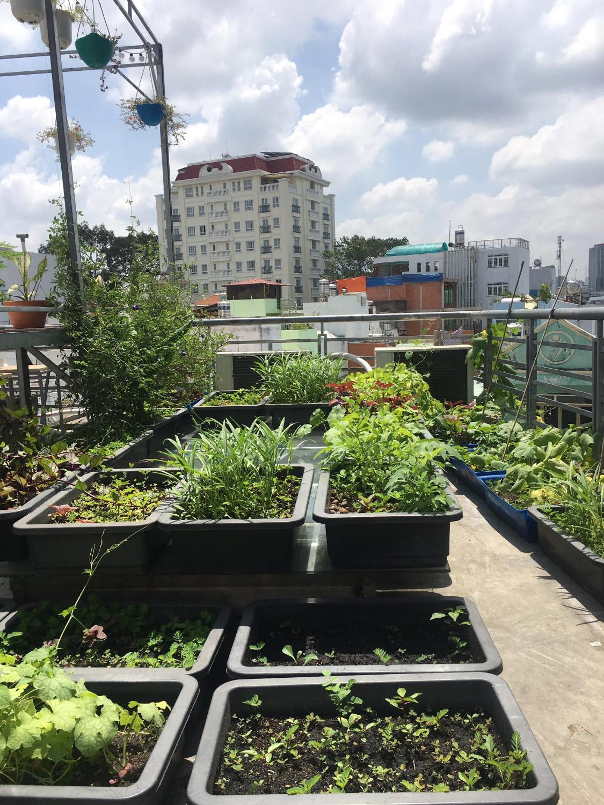 roof