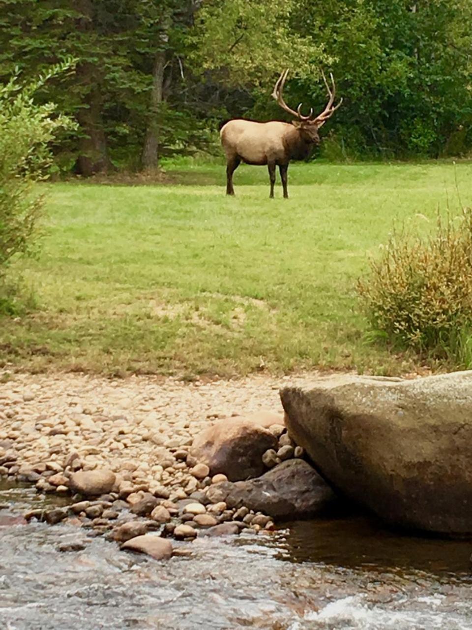 Riversong Inn Retreat