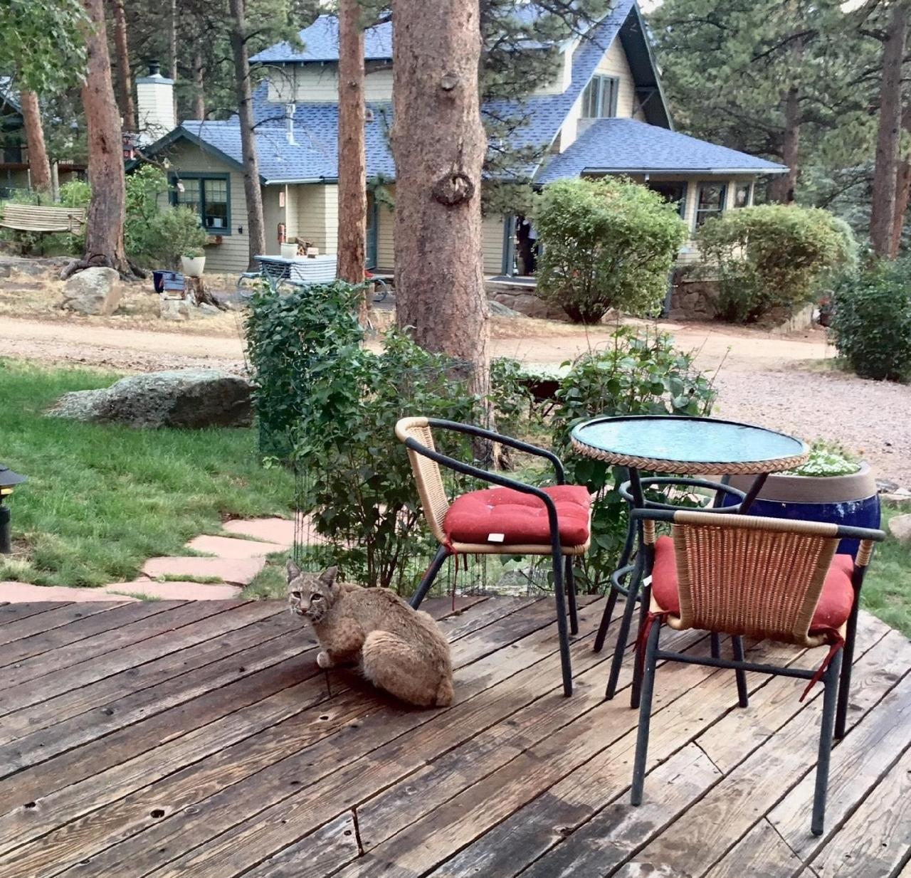 Riversong Inn Retreat