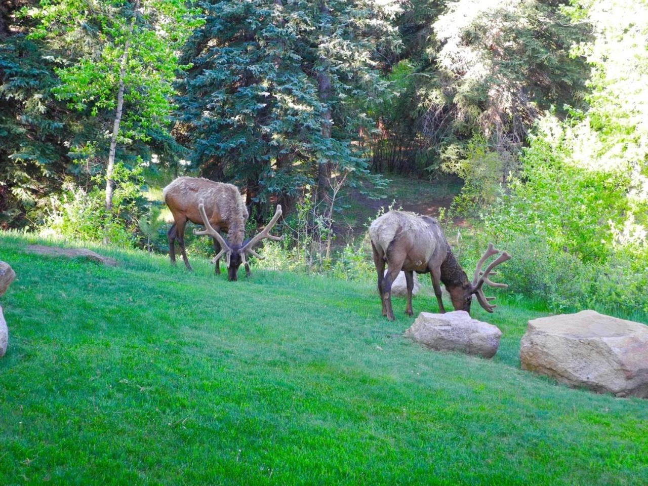 Riversong Inn Retreat