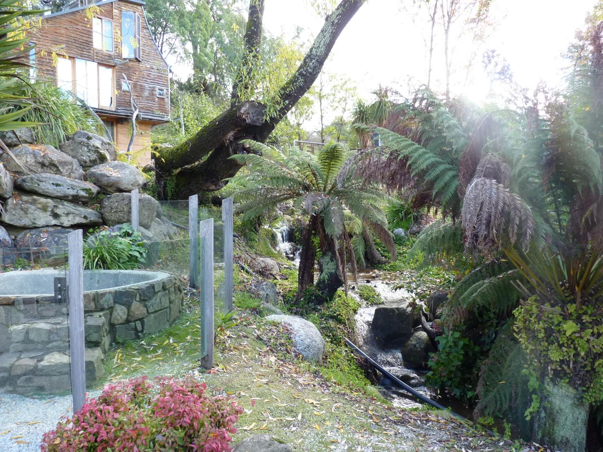 Photo 21