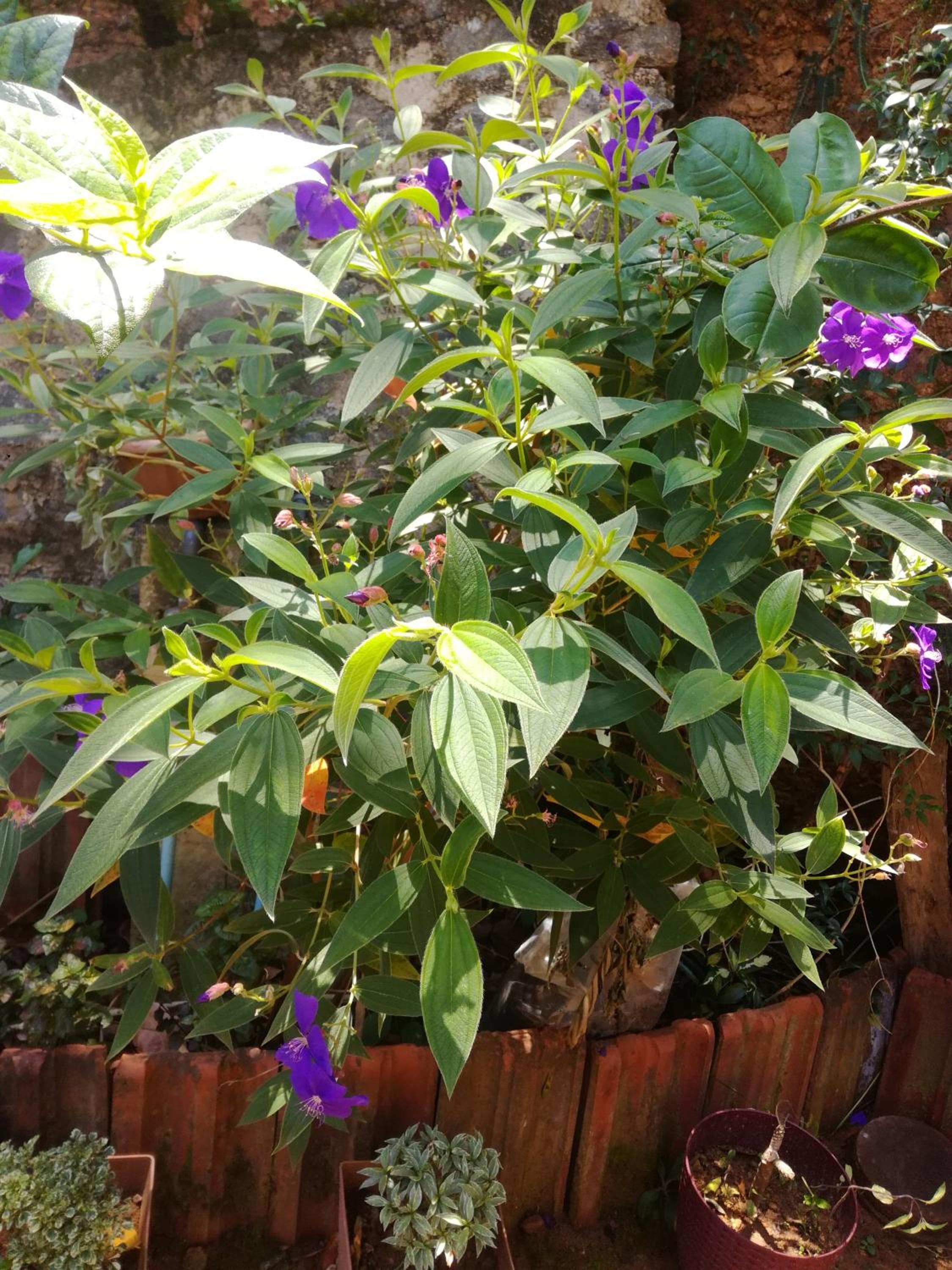 Photo 74
