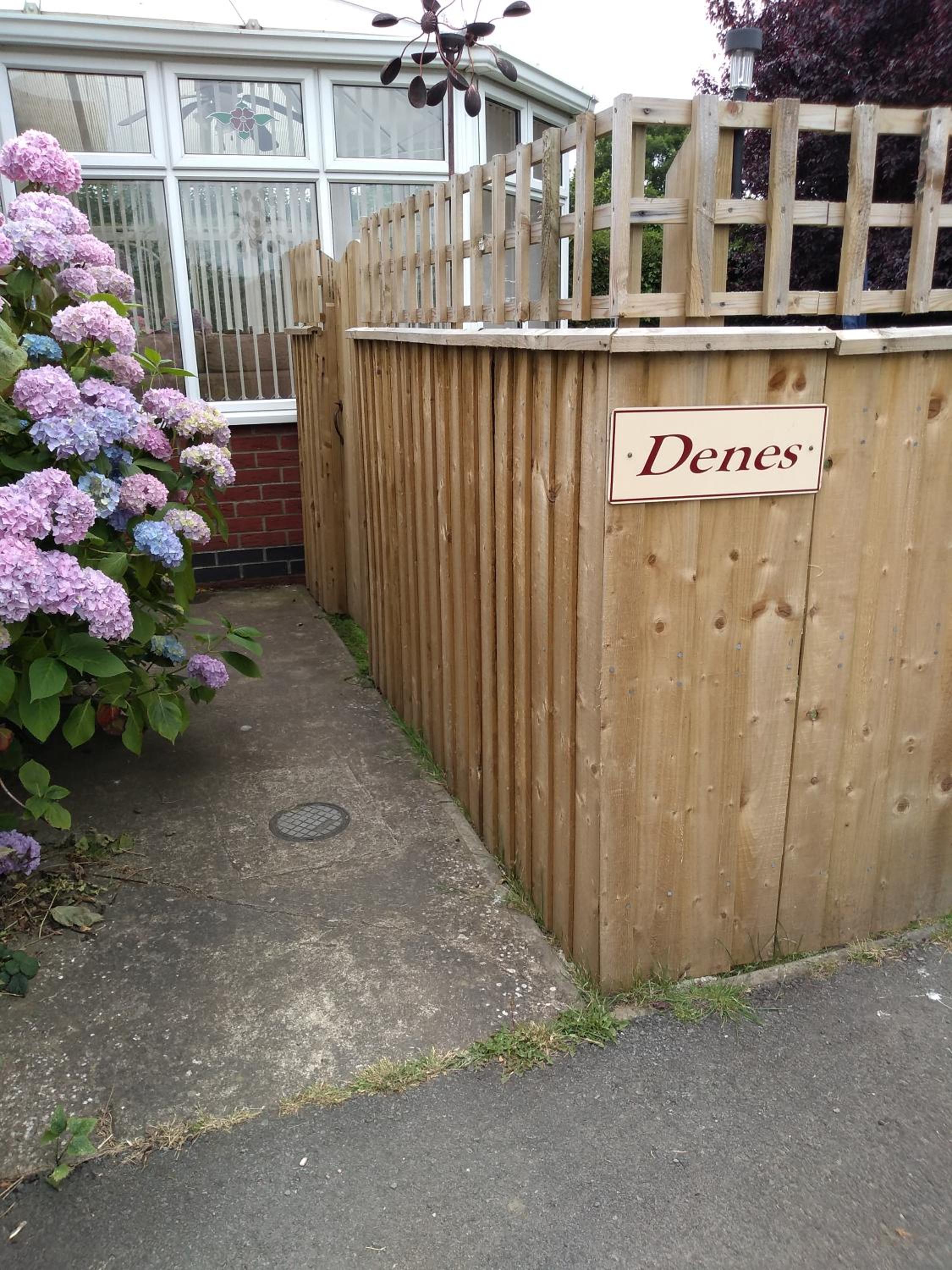 The Denes, photo 20