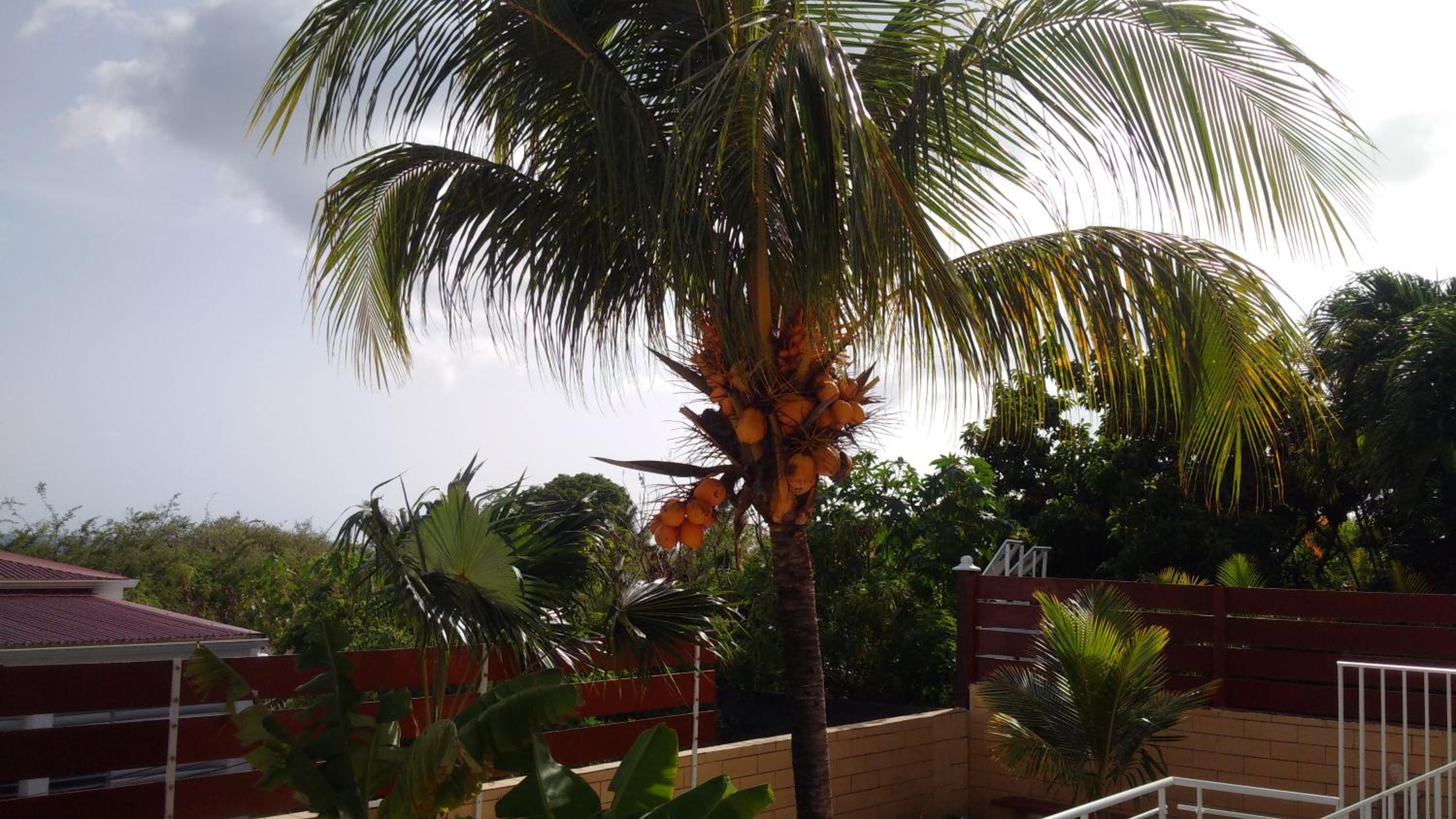Villa Pistaches - Photo 35