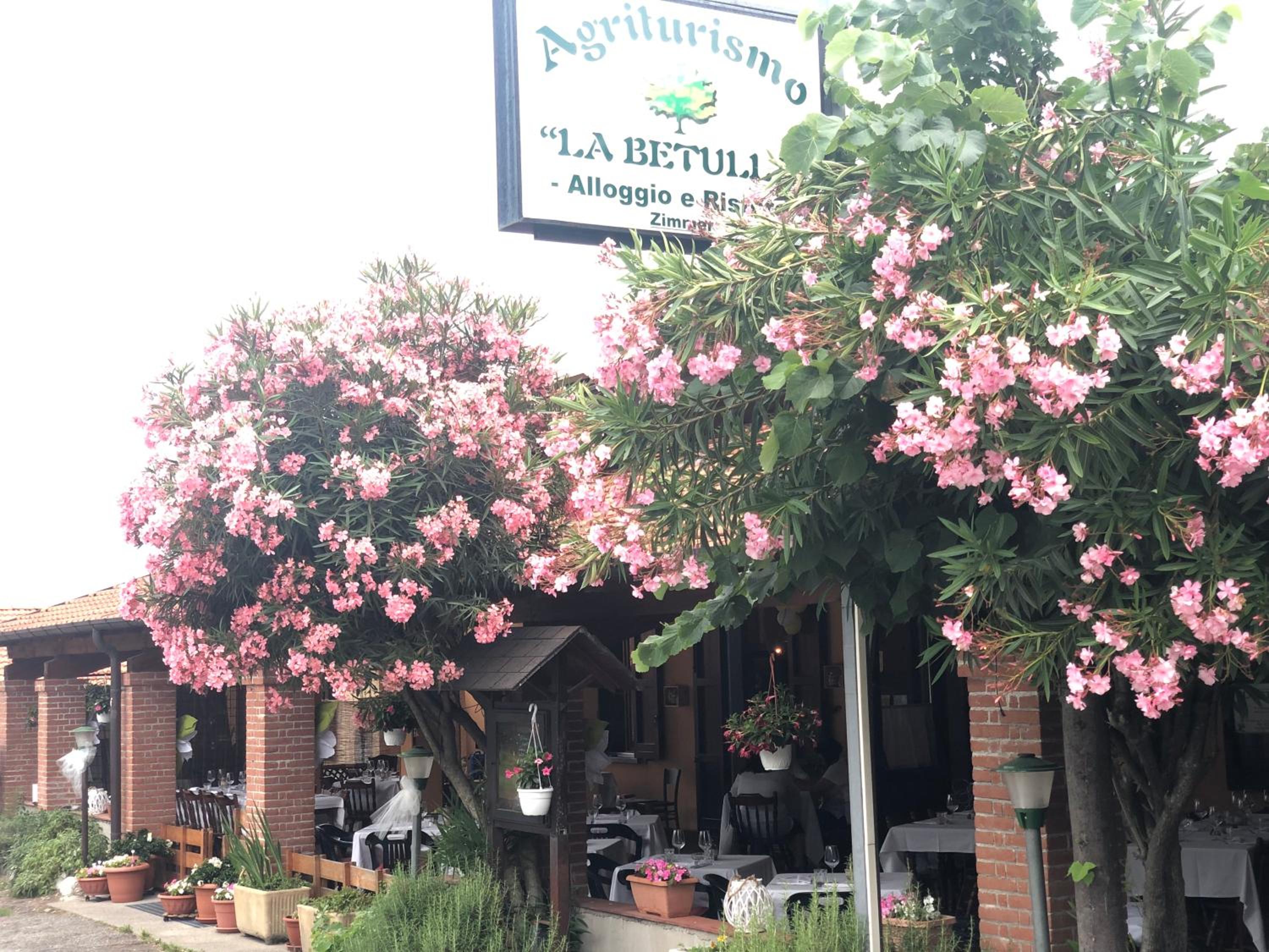 Agriturismo La Betulla