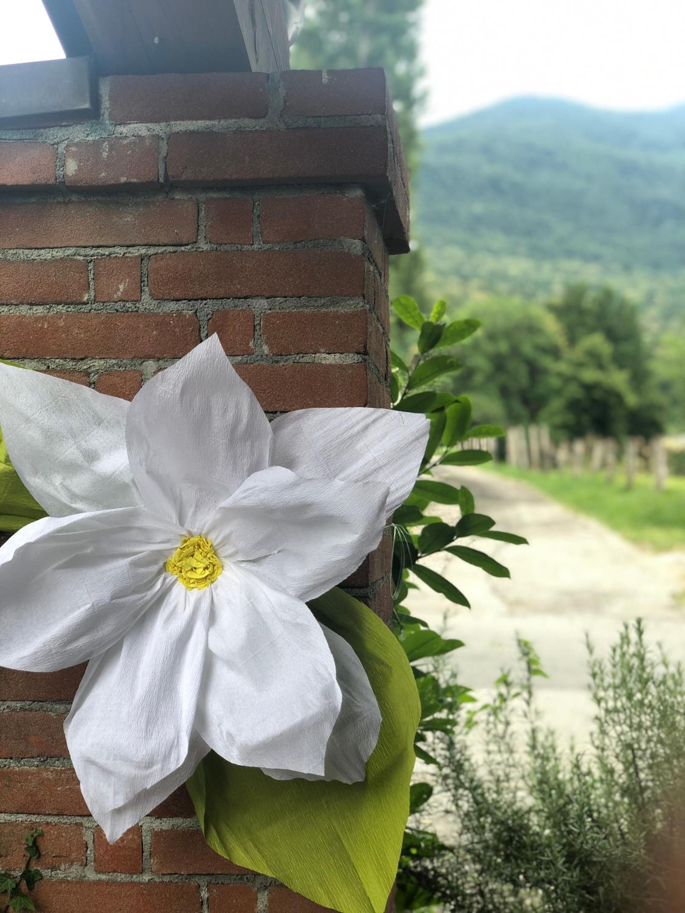 Agriturismo La Betulla