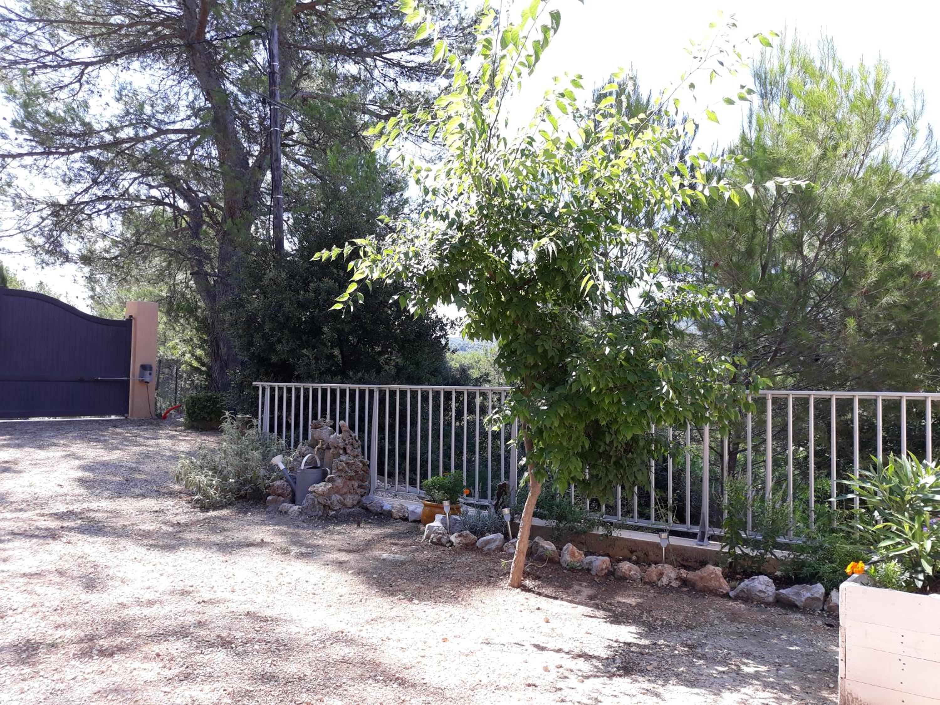 Photo 26