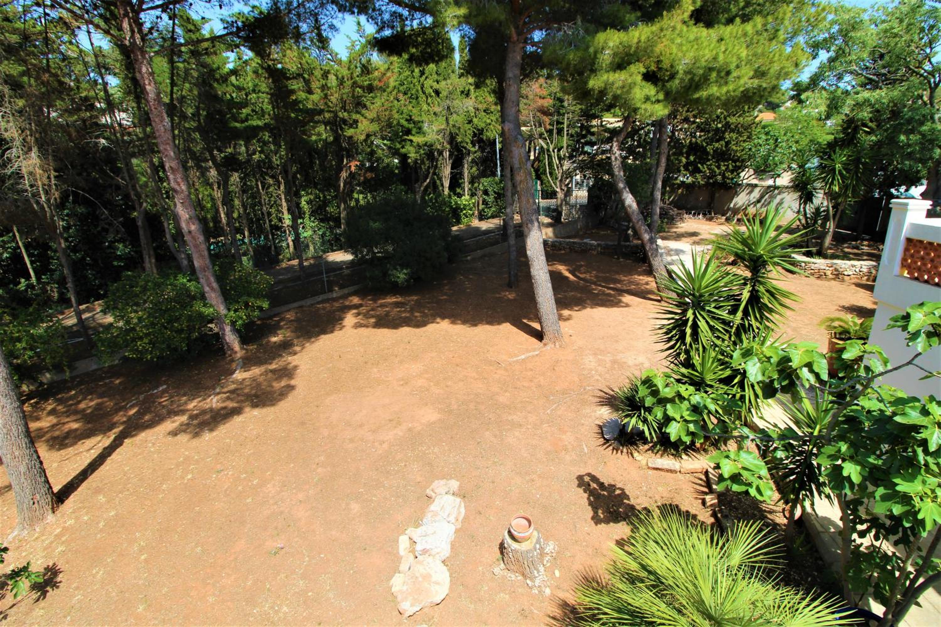 Photo 18