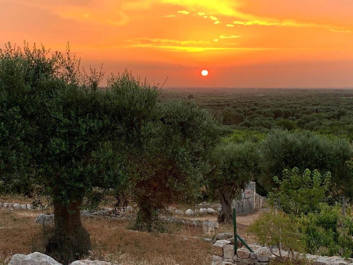 B & B Monte Adamo photo 2