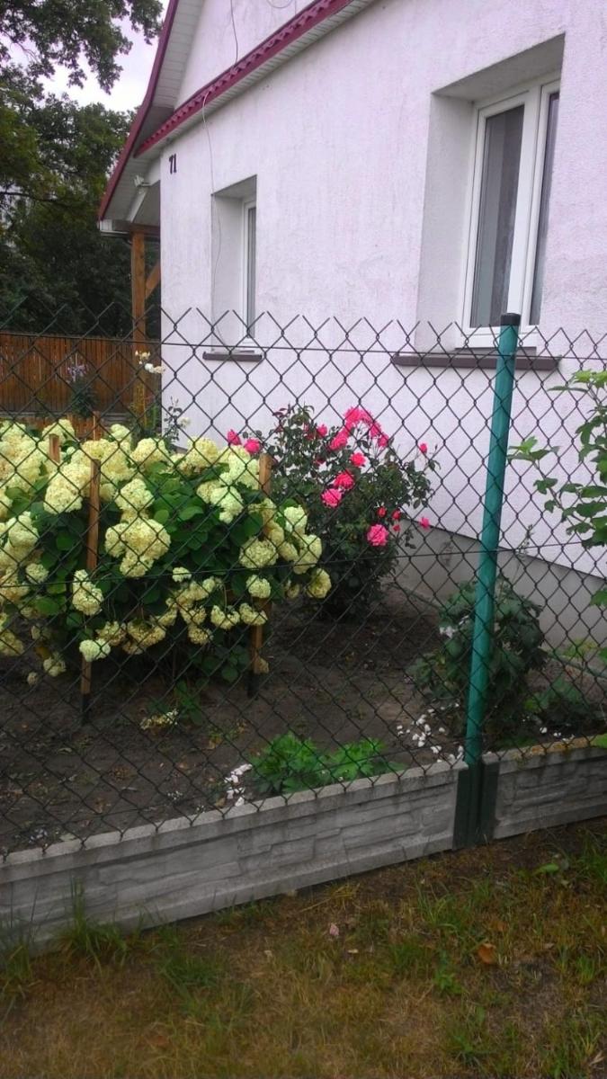 Photo 43